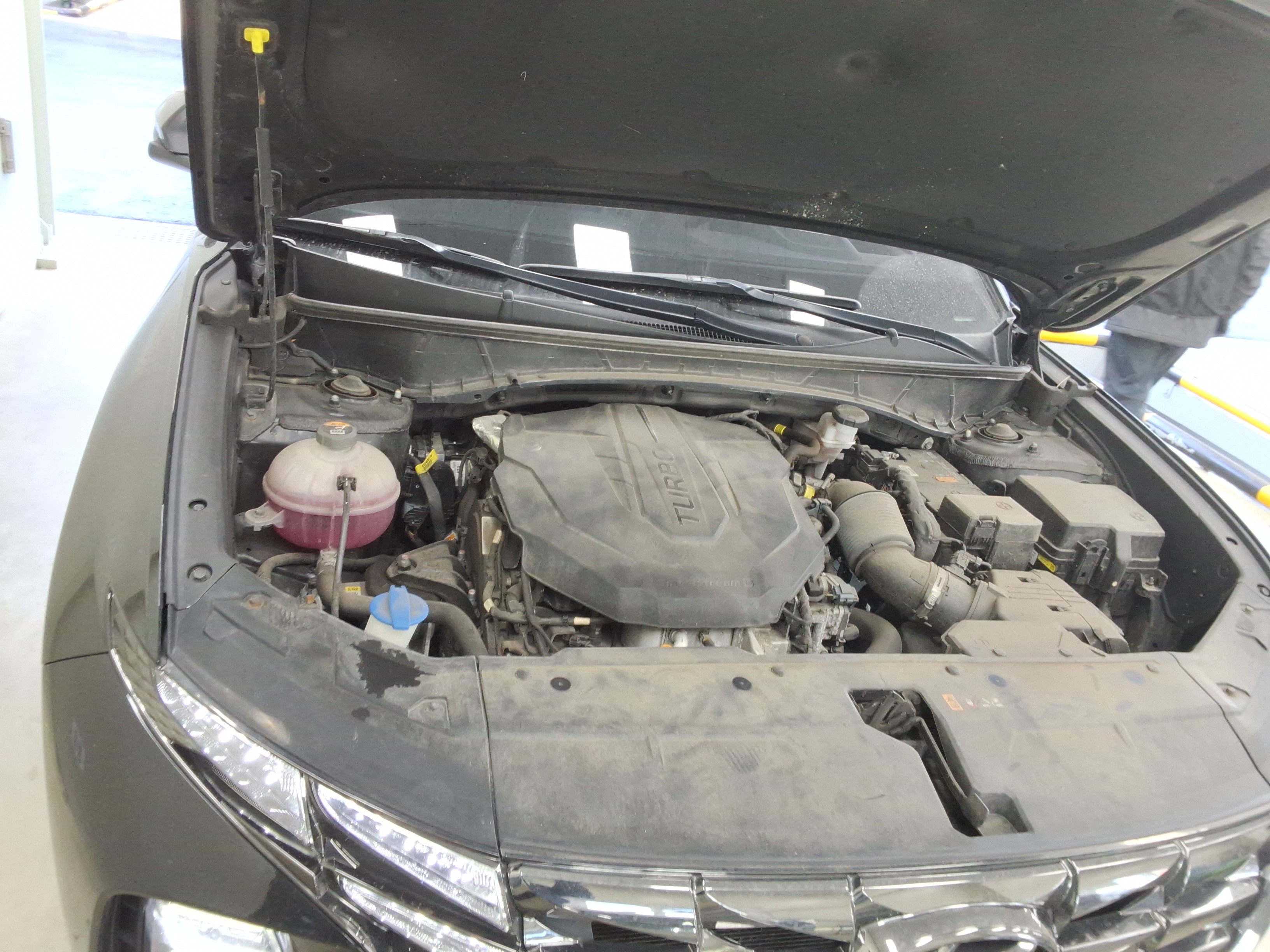 صورة إضافية