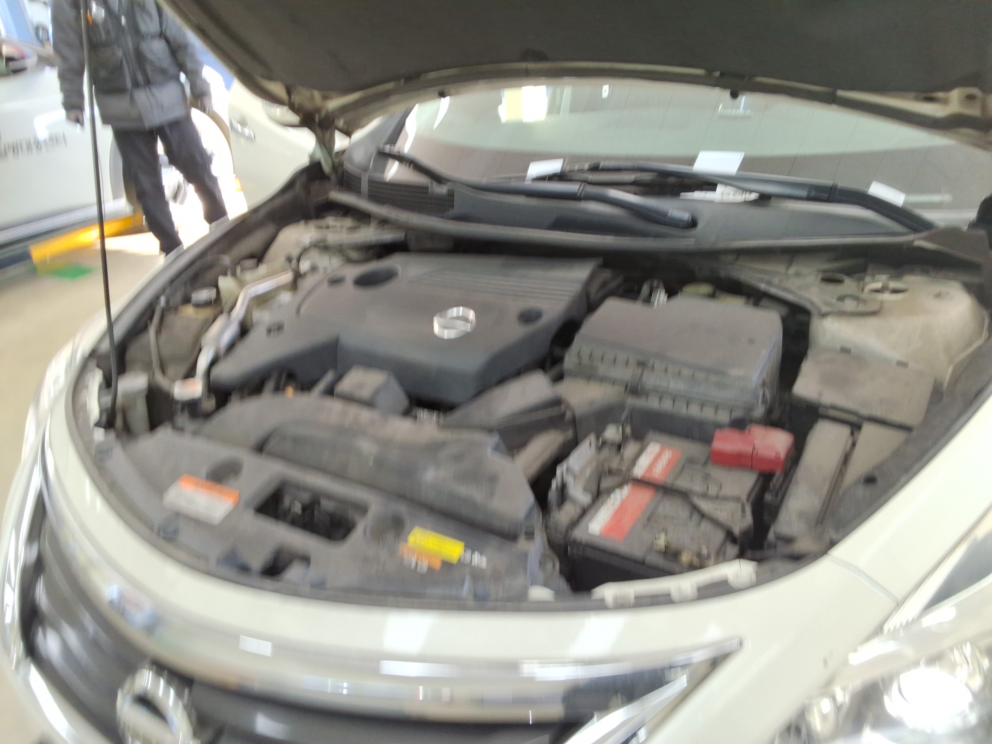 صورة إضافية