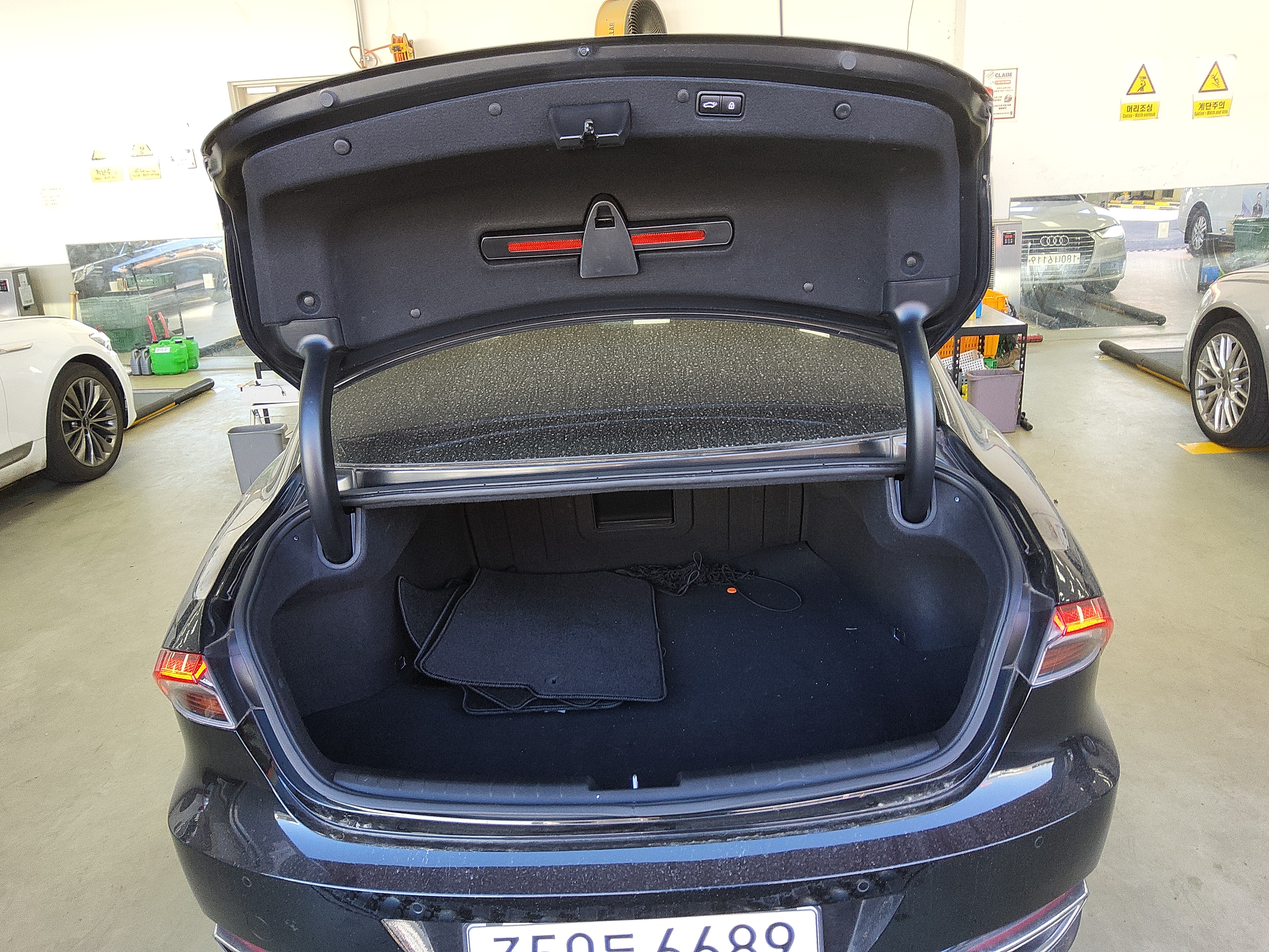 صورة إضافية