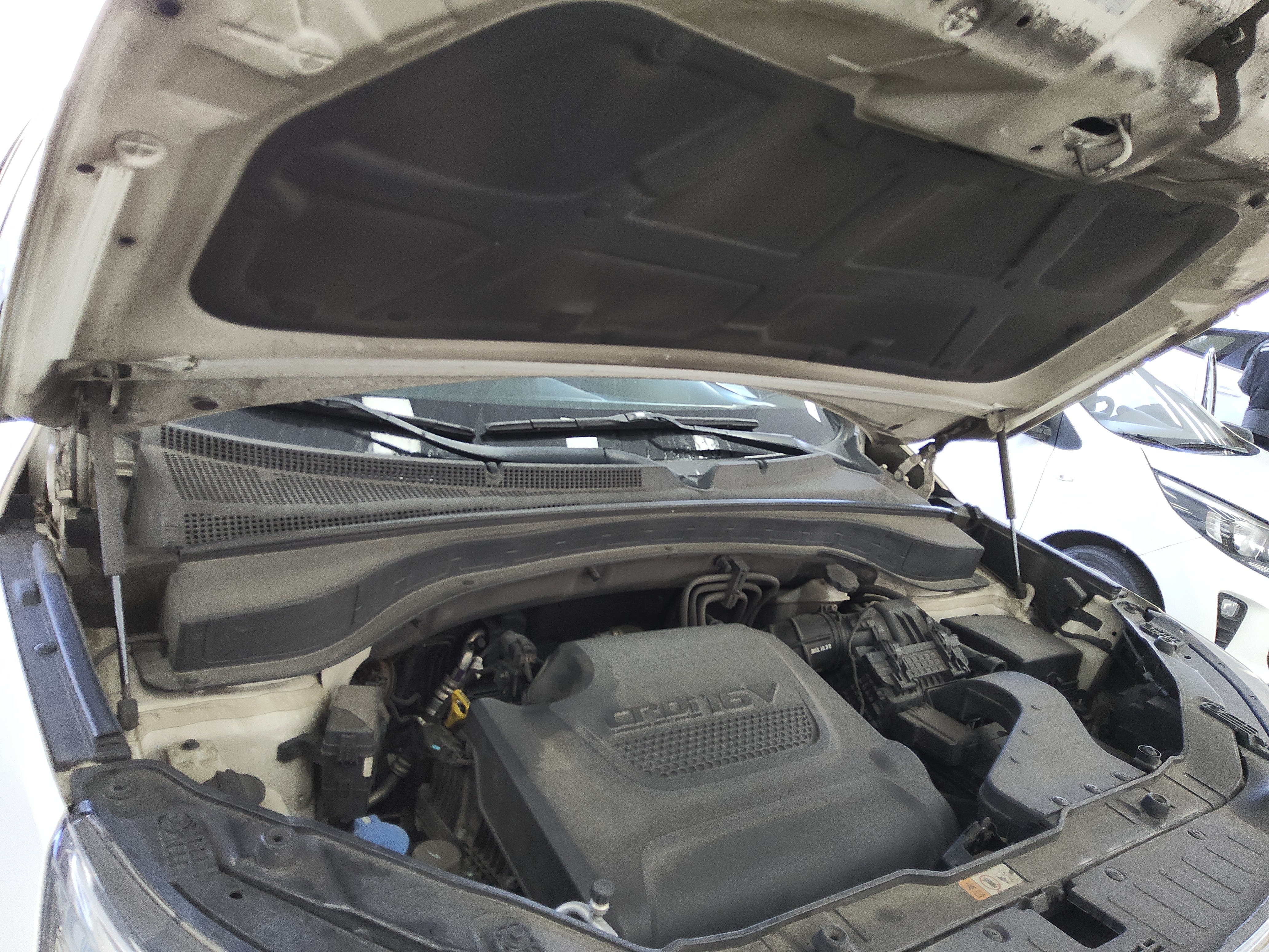 صورة إضافية