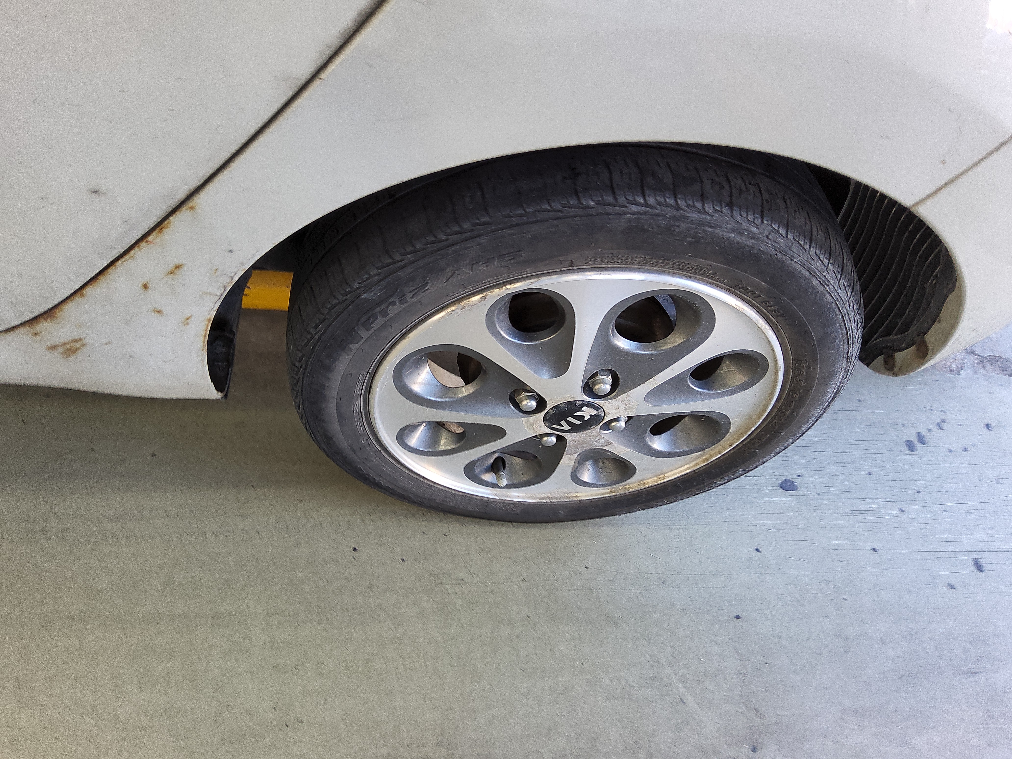 صورة إضافية