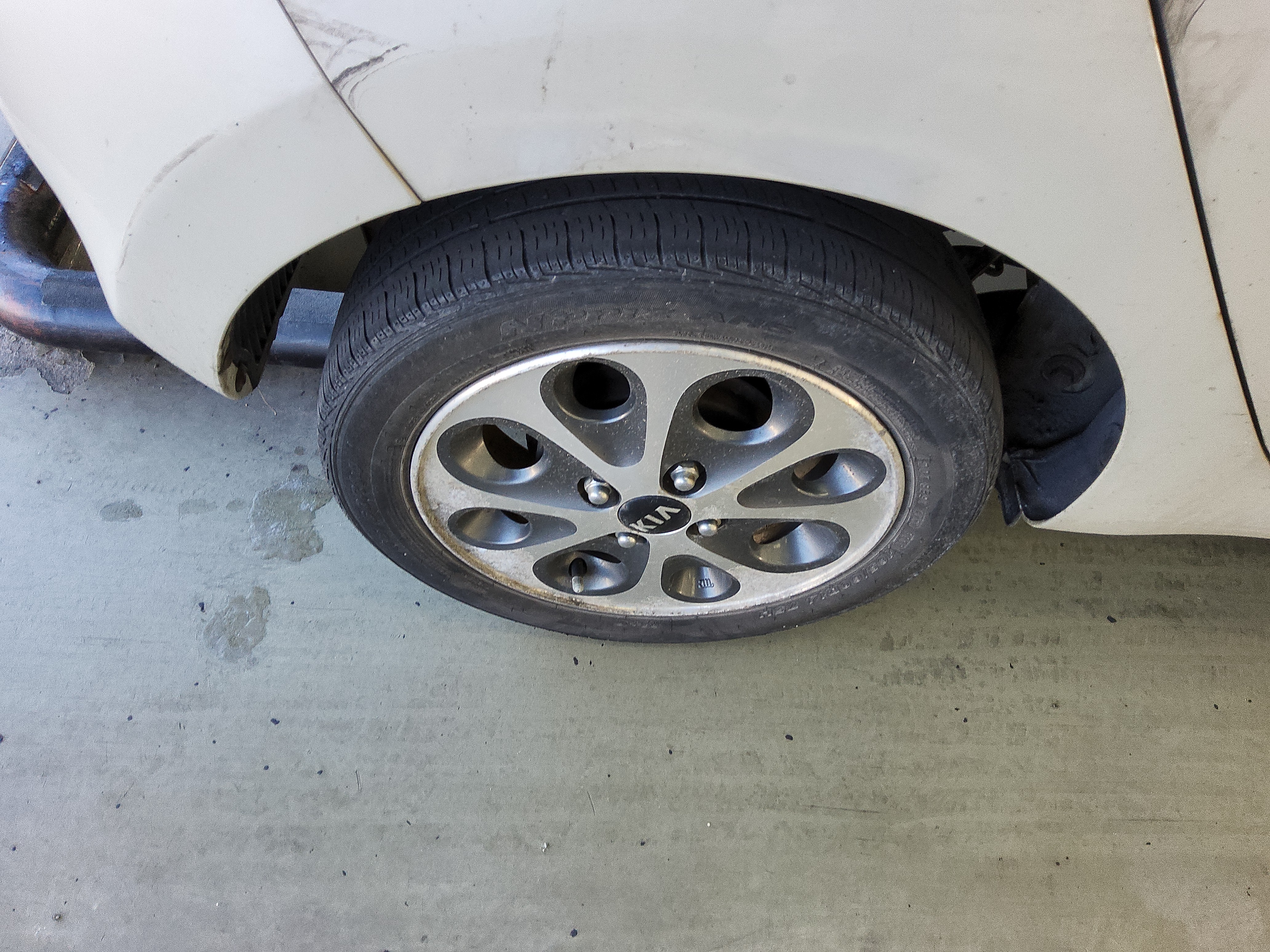 صورة إضافية