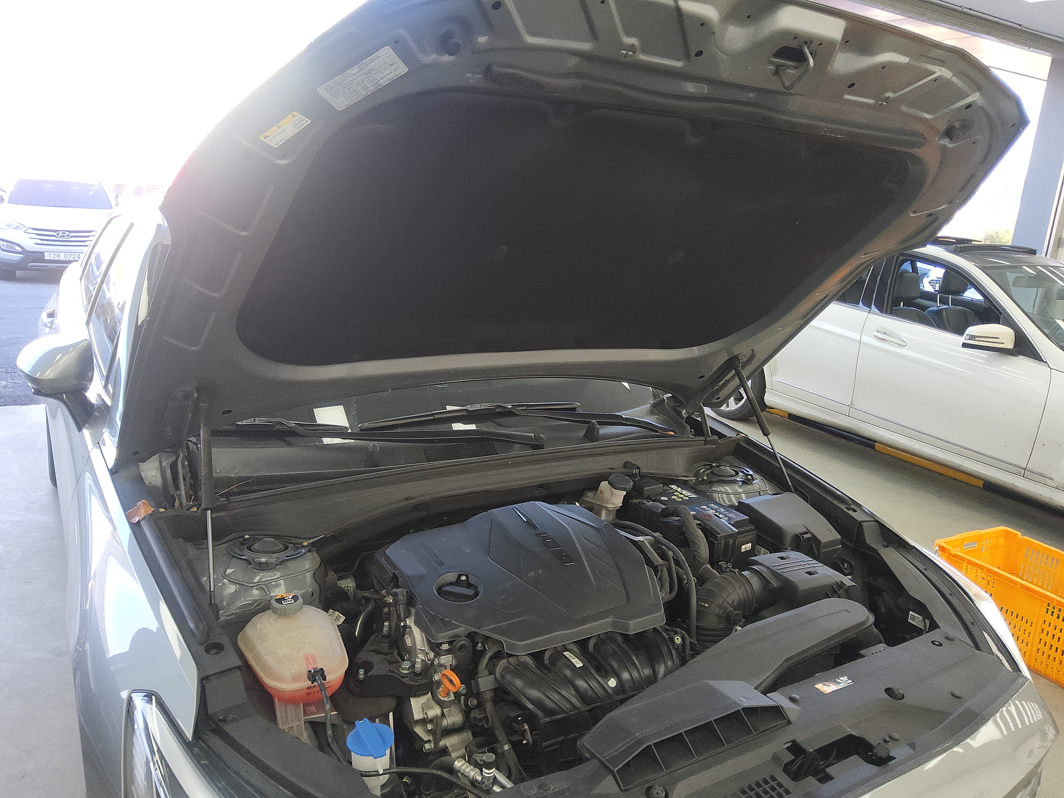 صورة إضافية