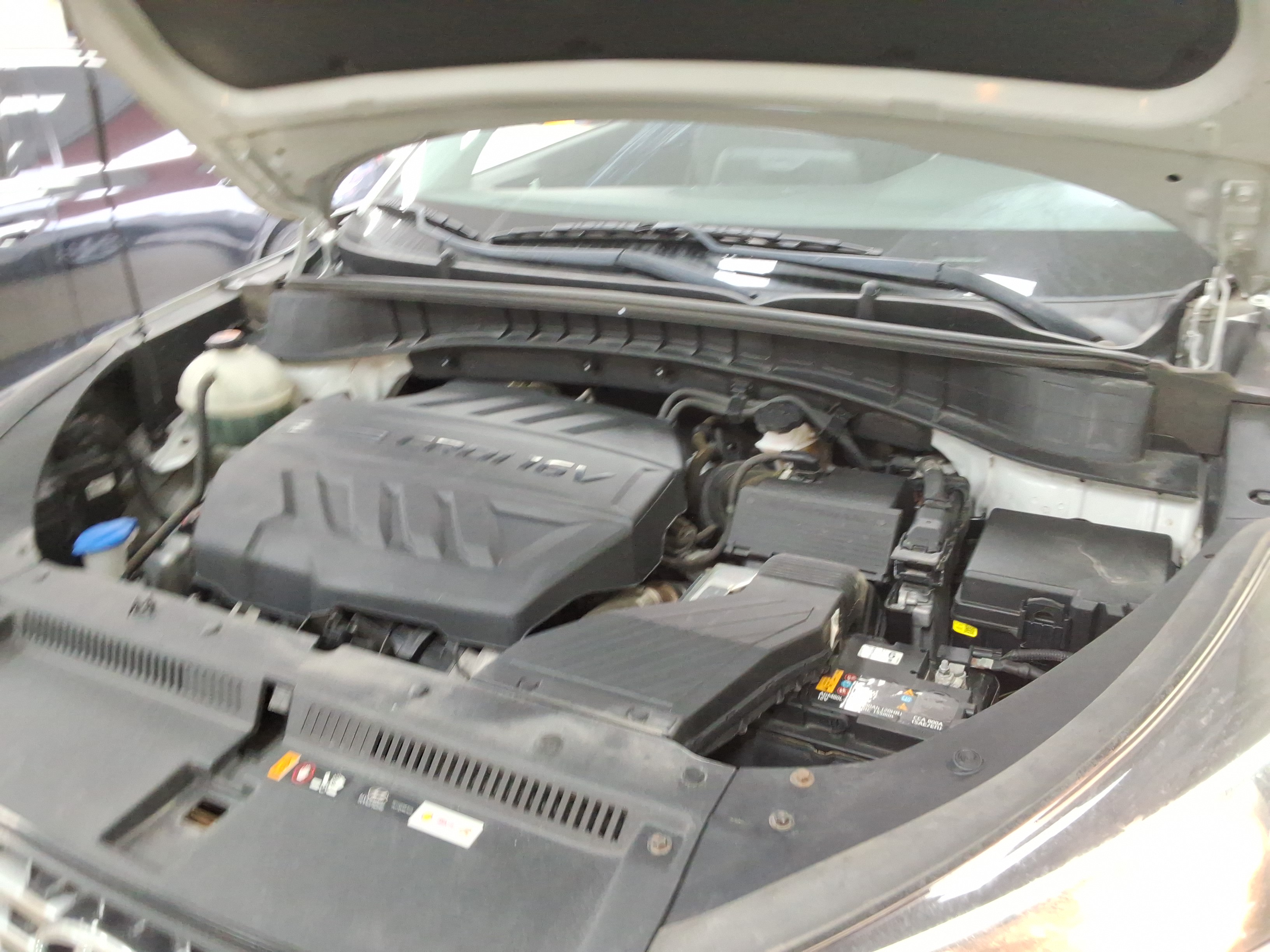 صورة إضافية