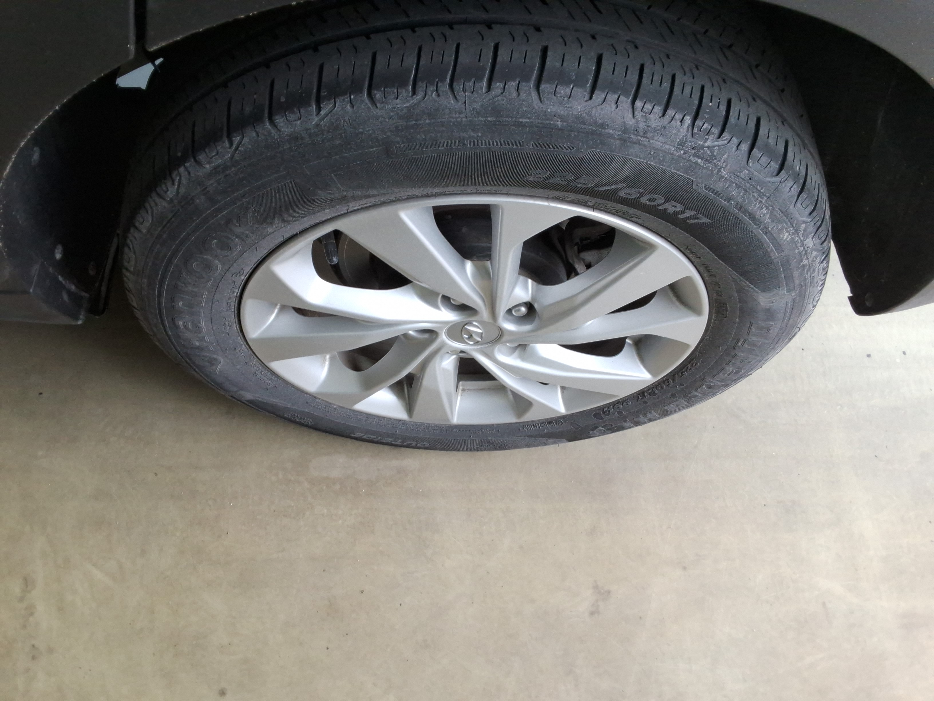 صورة إضافية