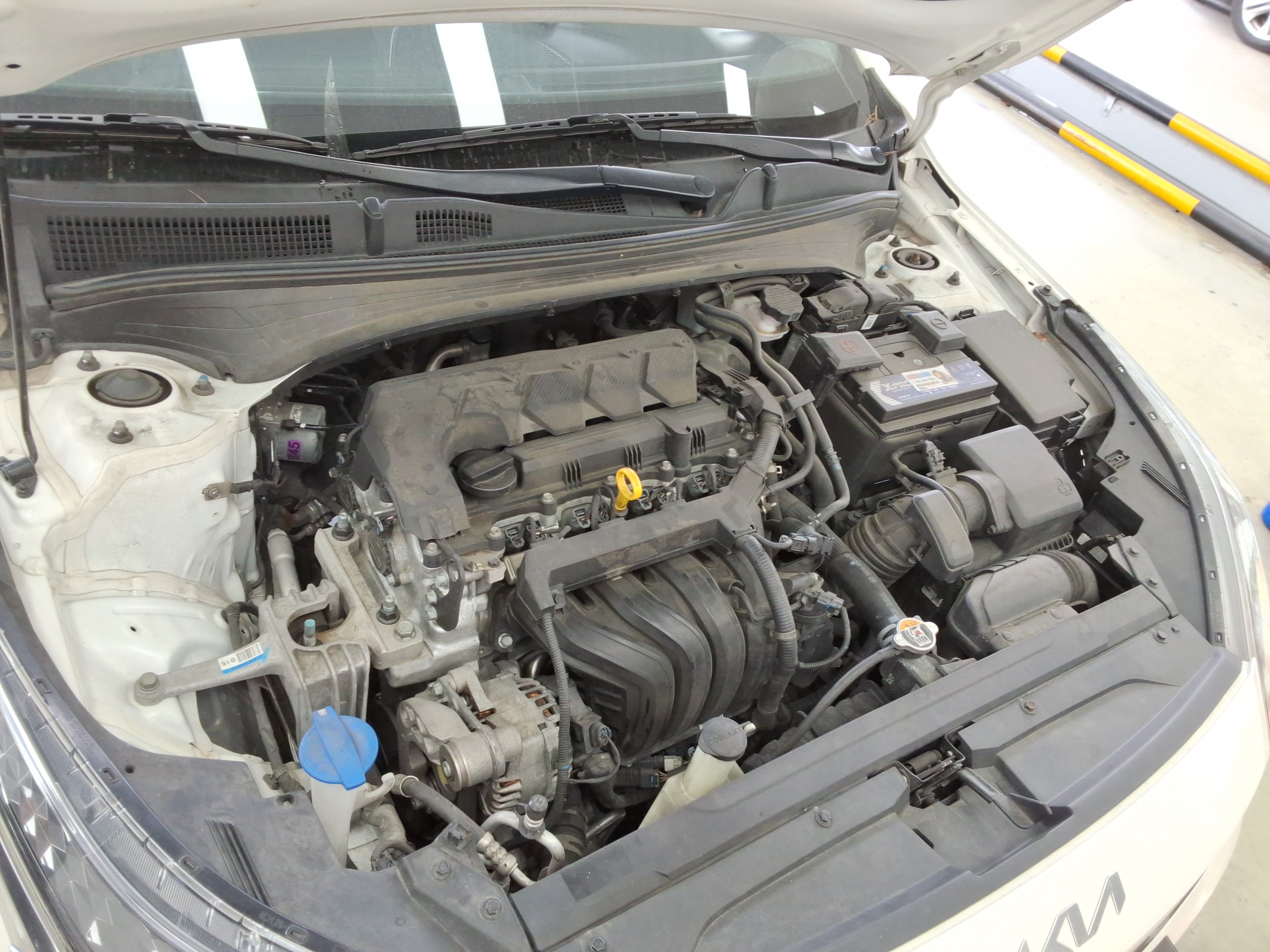 صورة إضافية