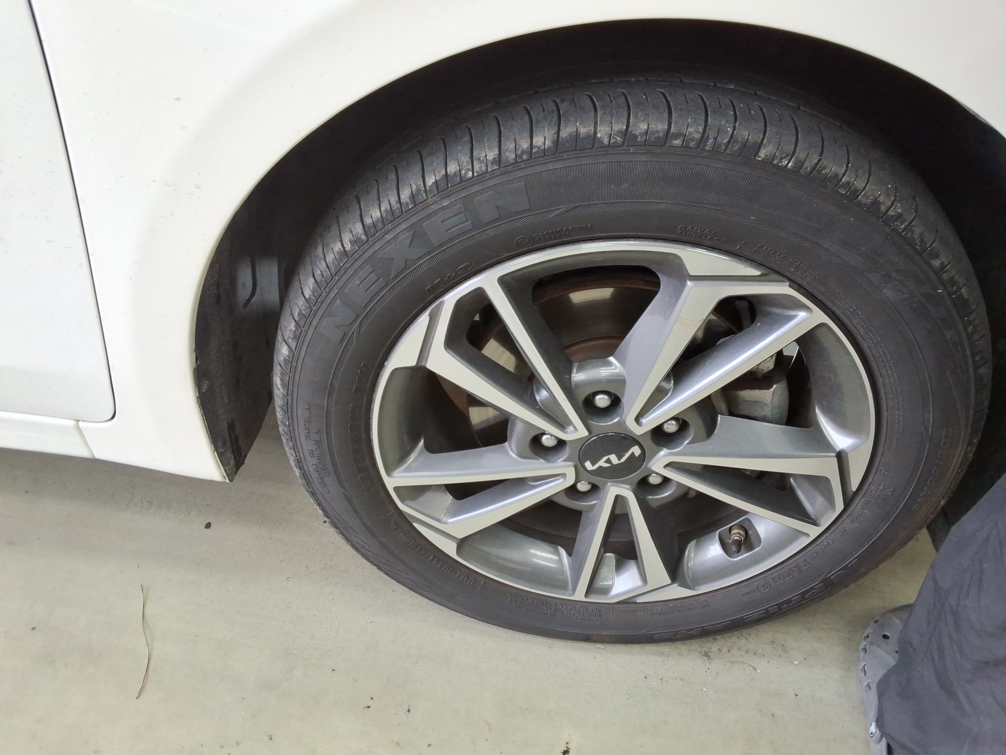 صورة إضافية