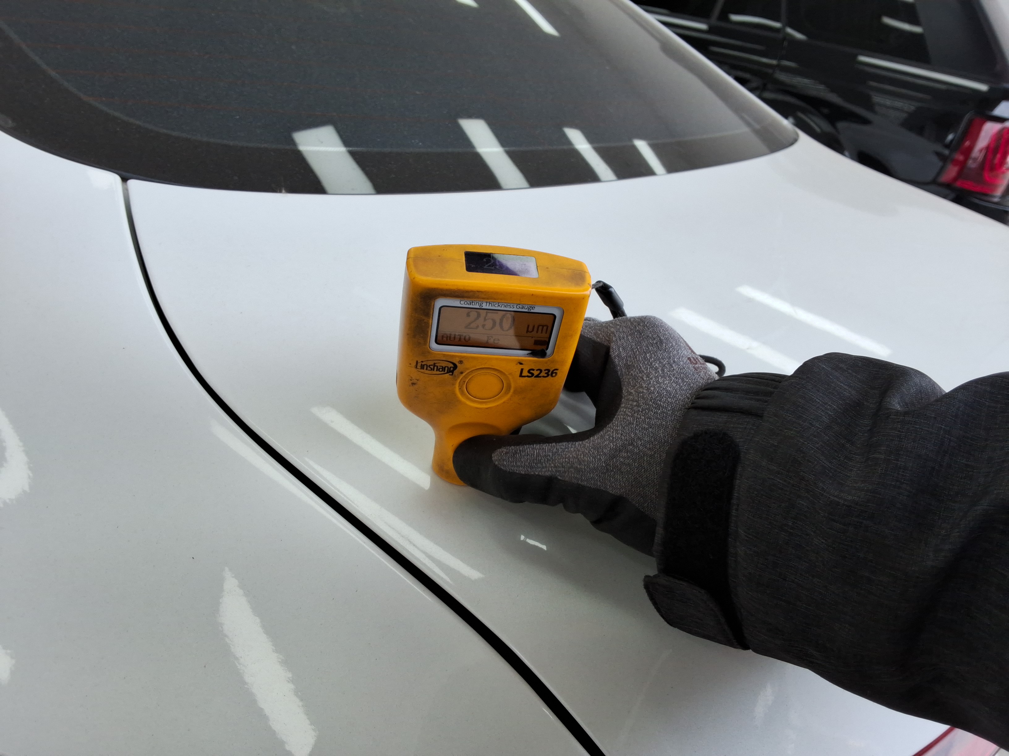 صورة إضافية