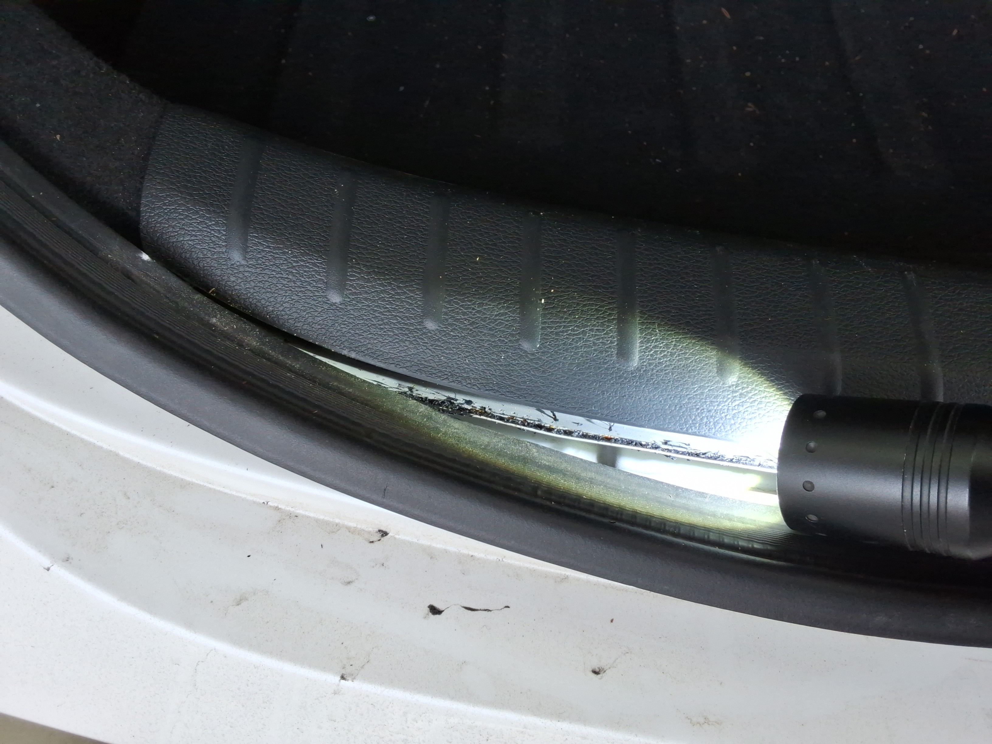 صورة إضافية