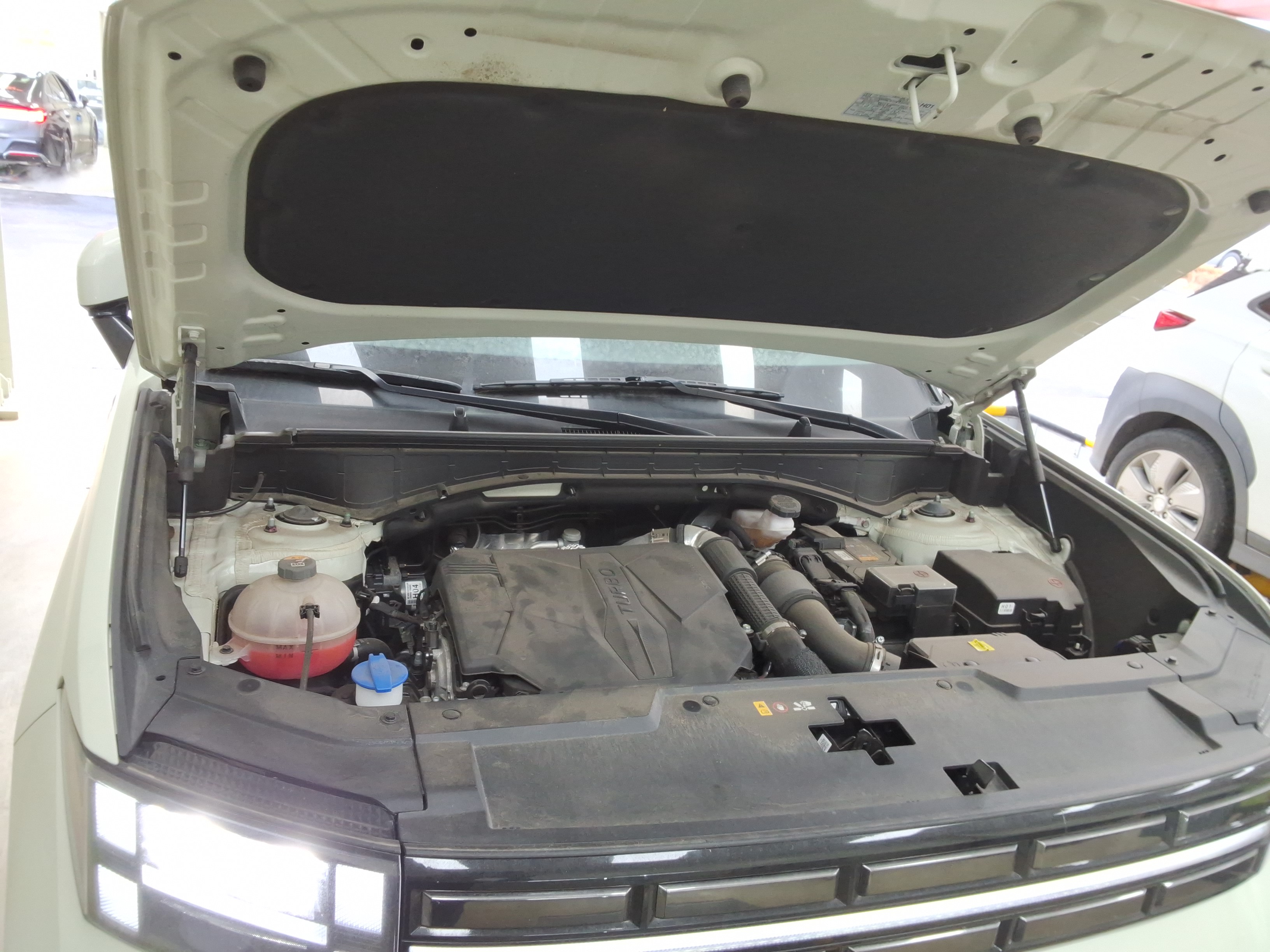 صورة إضافية