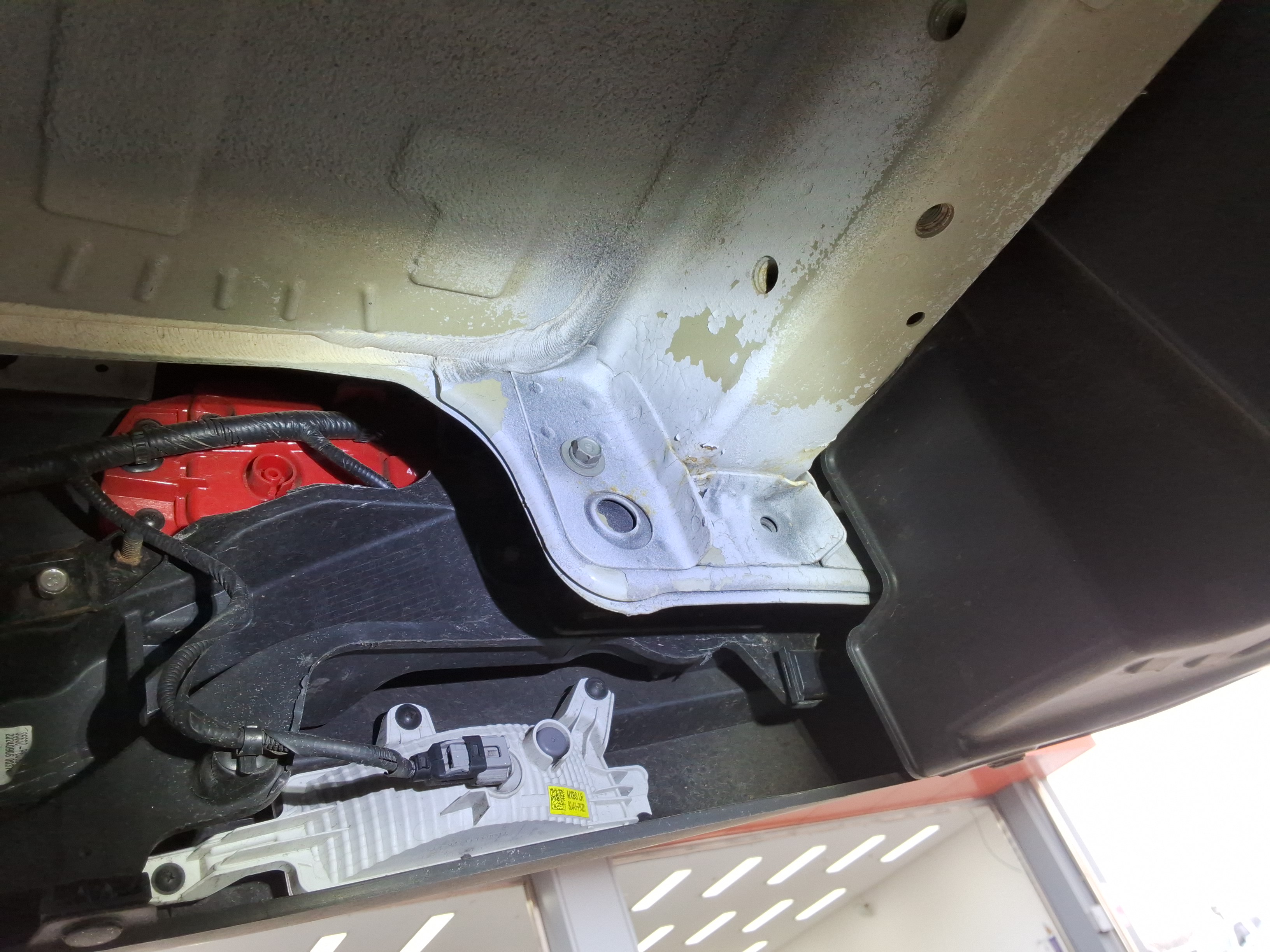 صورة إضافية