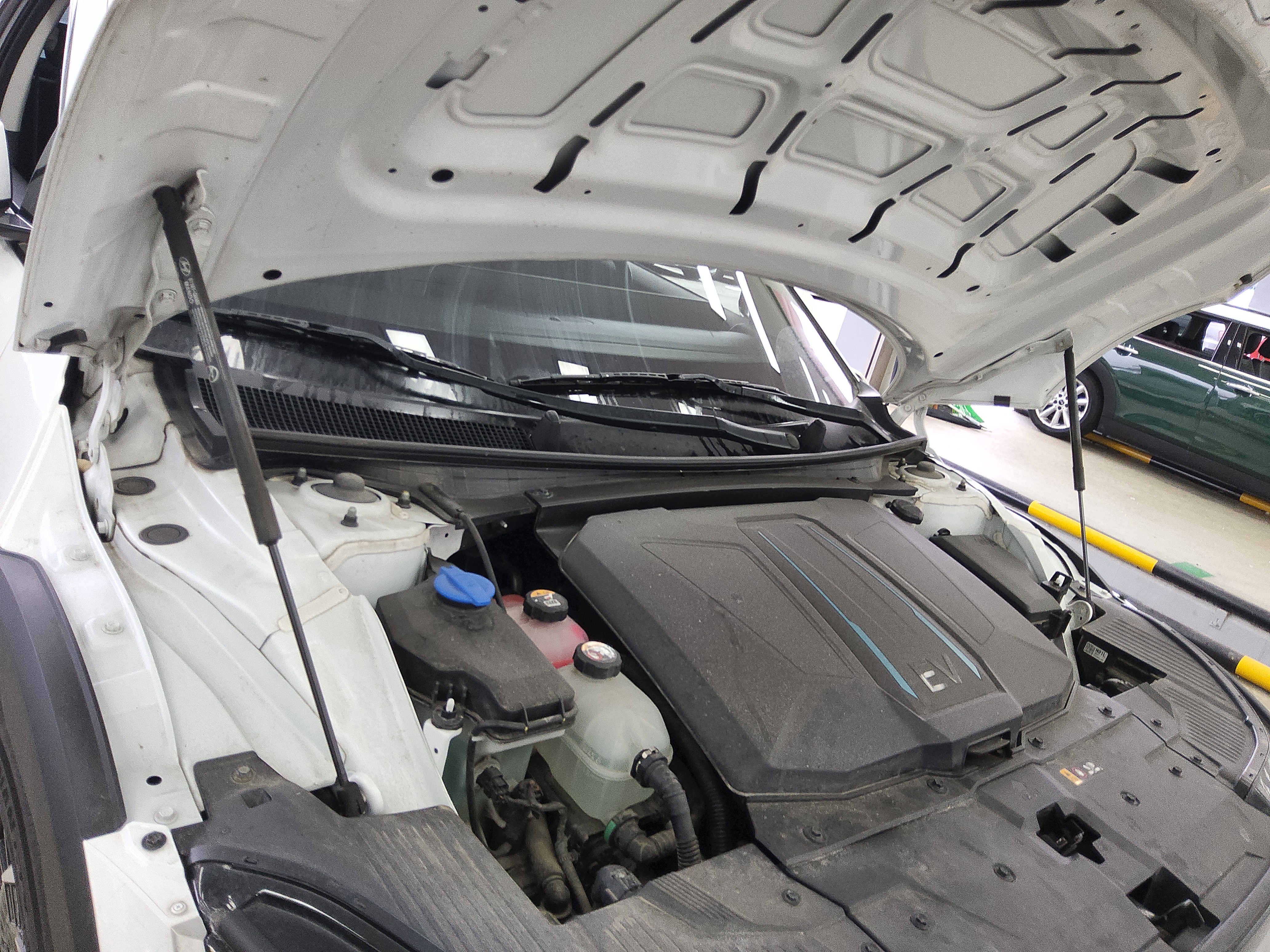 صورة إضافية