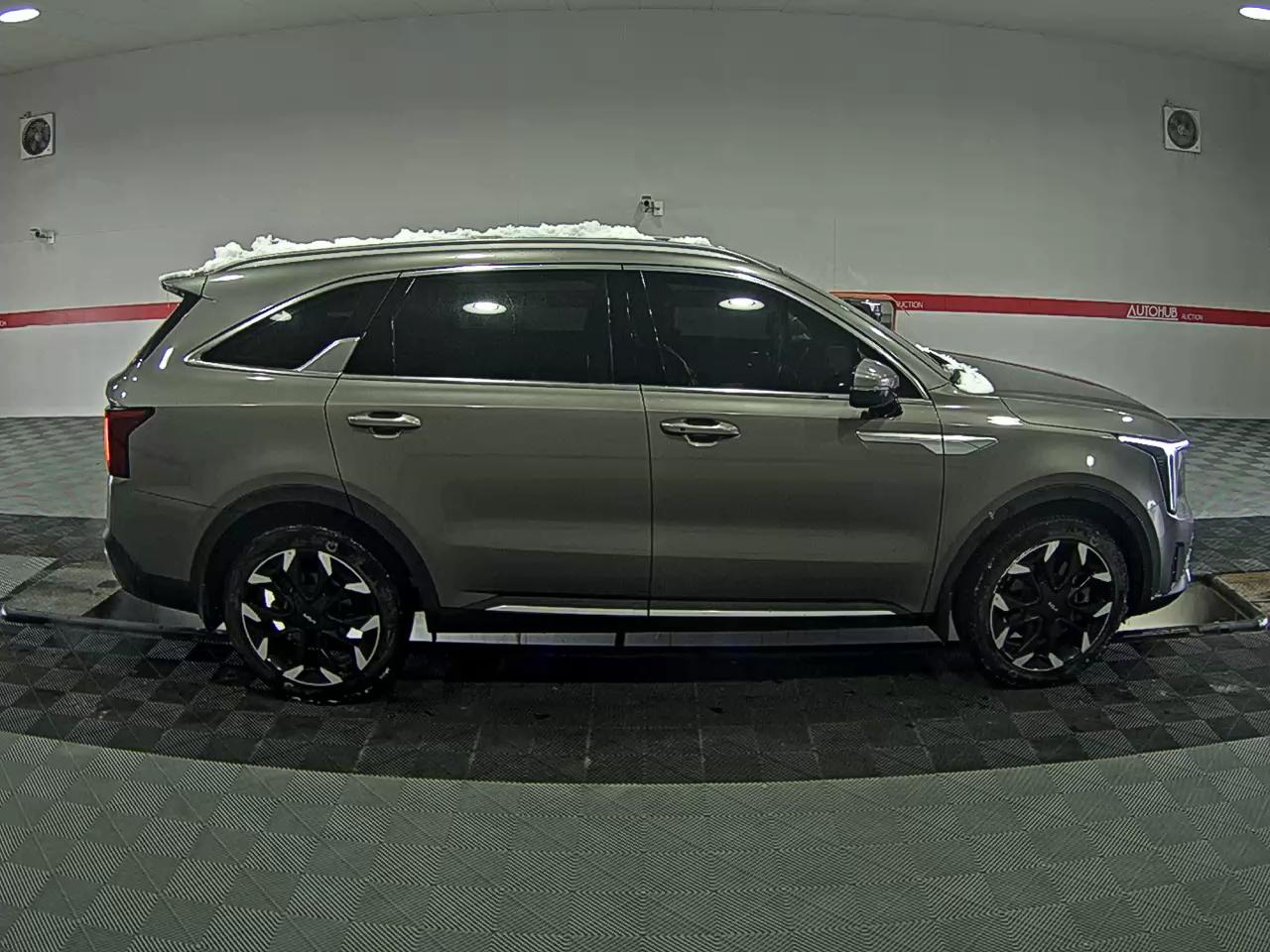 صورة إضافية