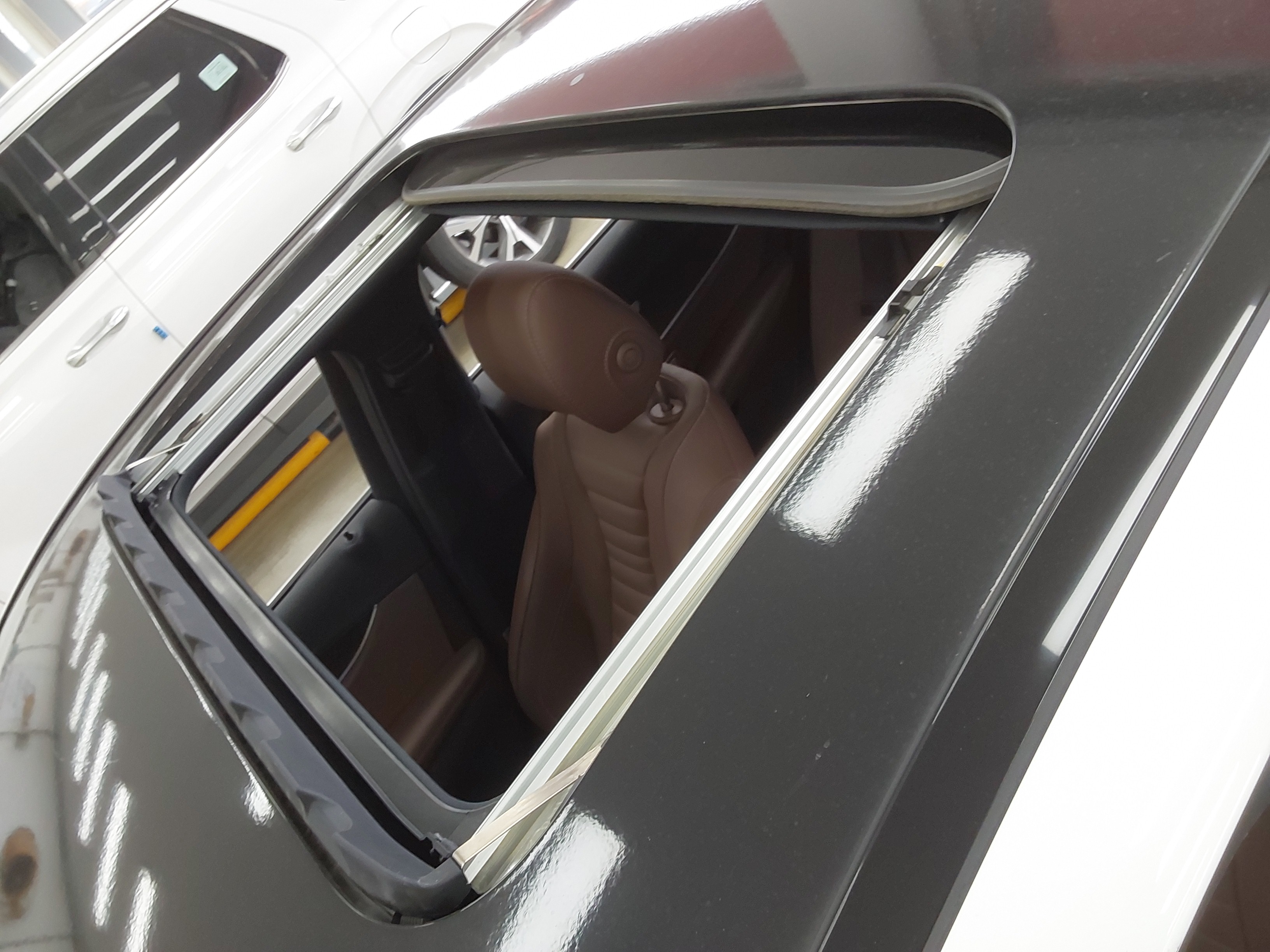 صورة إضافية