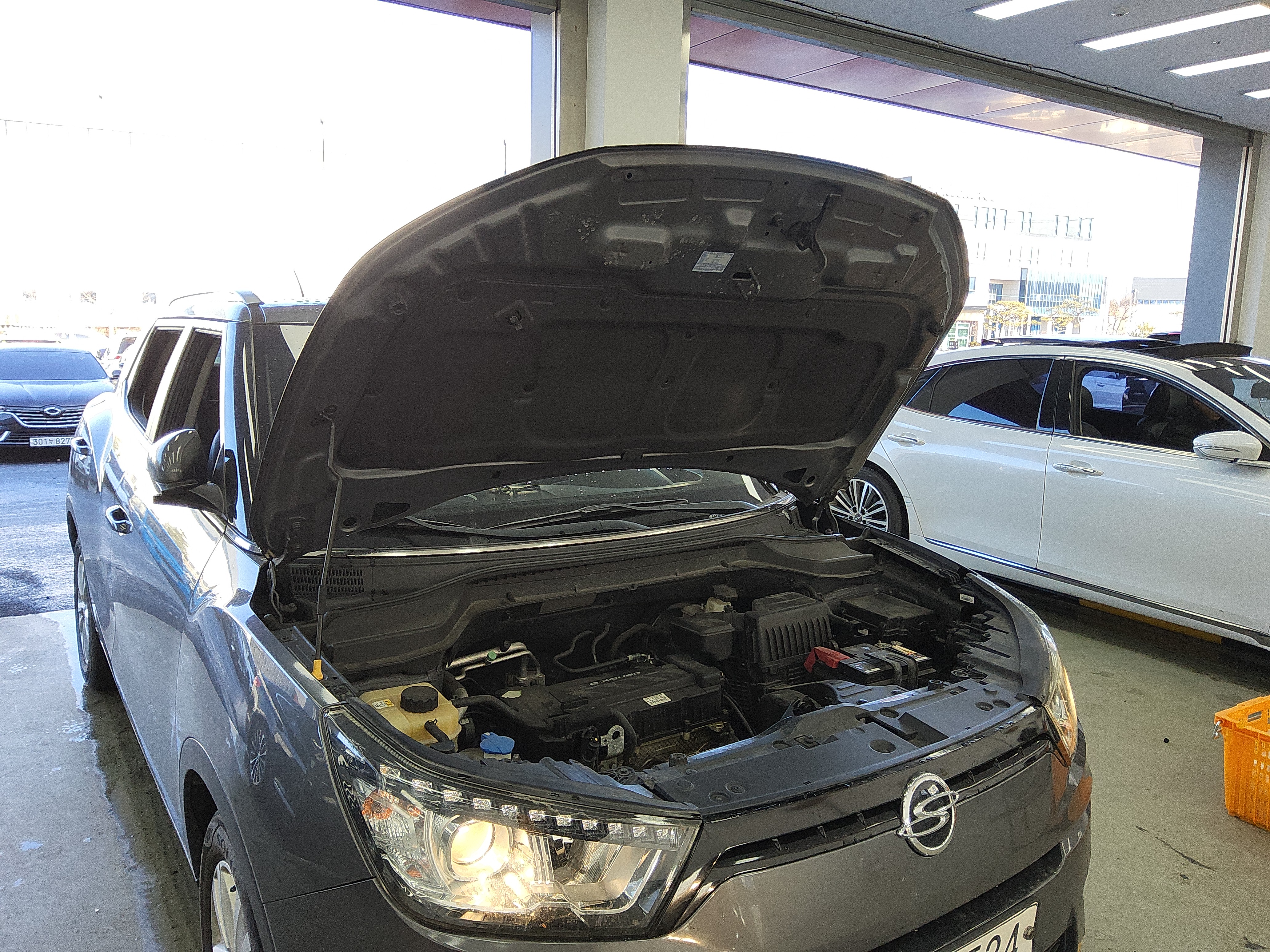 صورة إضافية