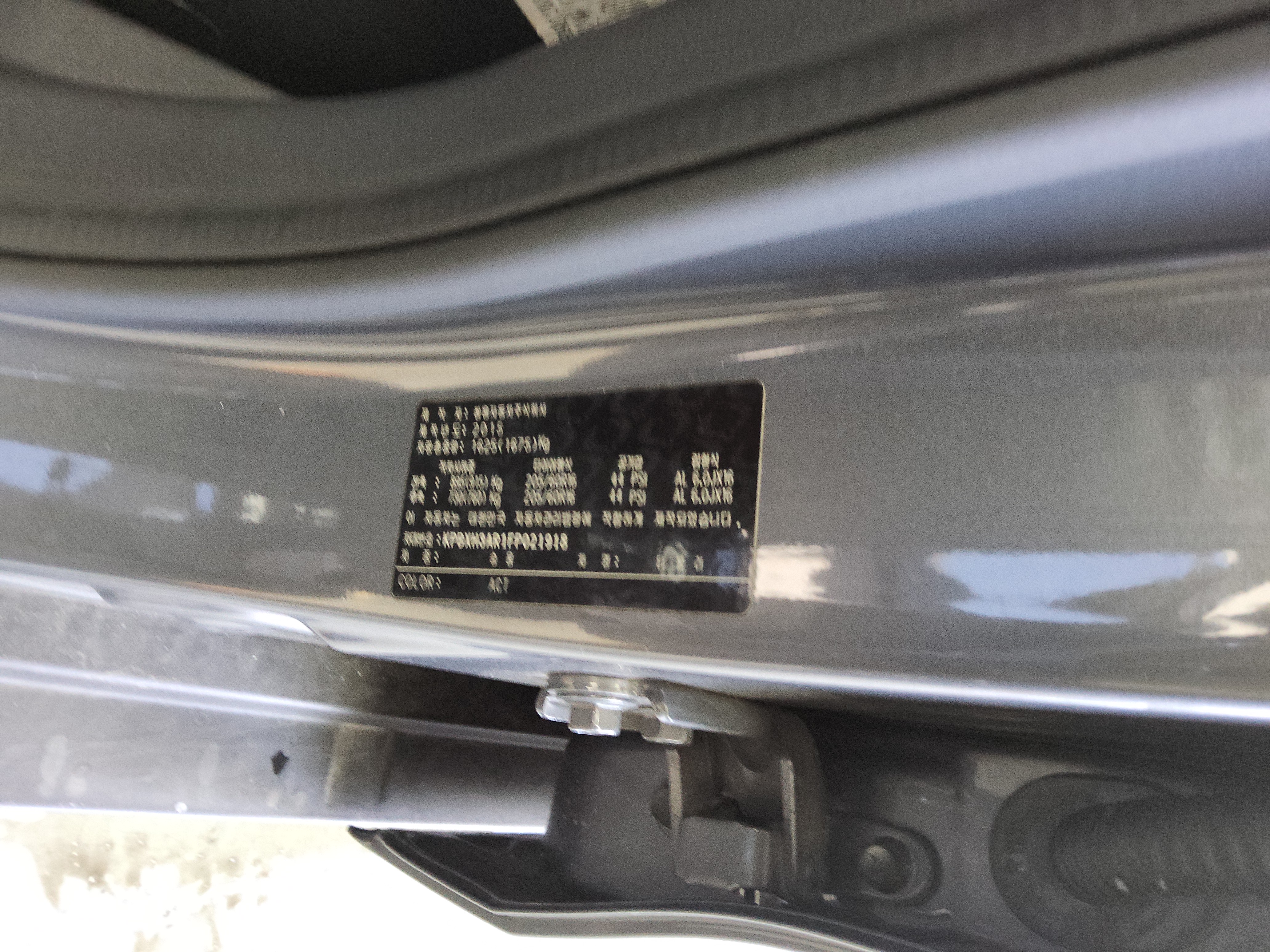 صورة إضافية