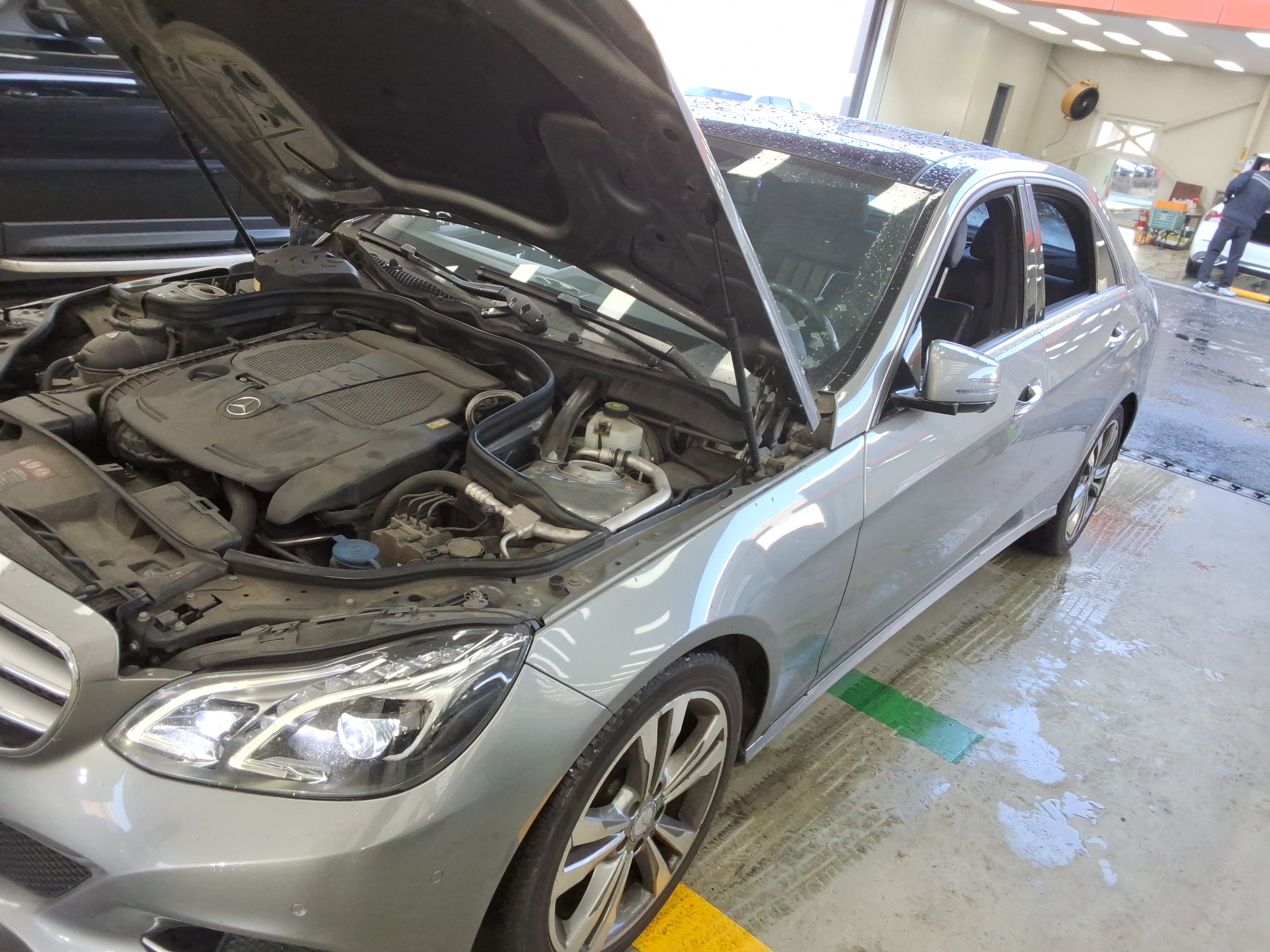 صورة إضافية