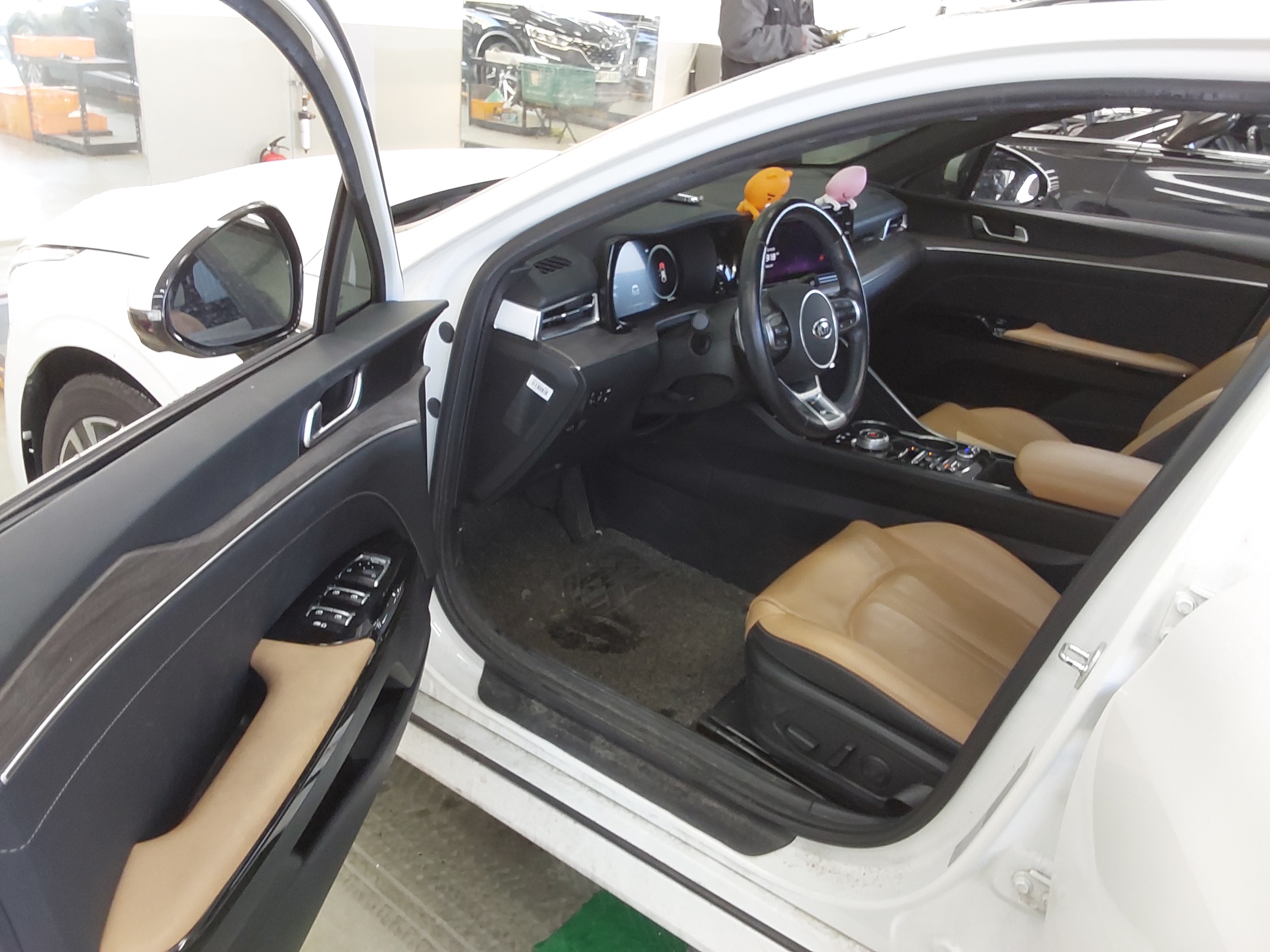 صورة إضافية