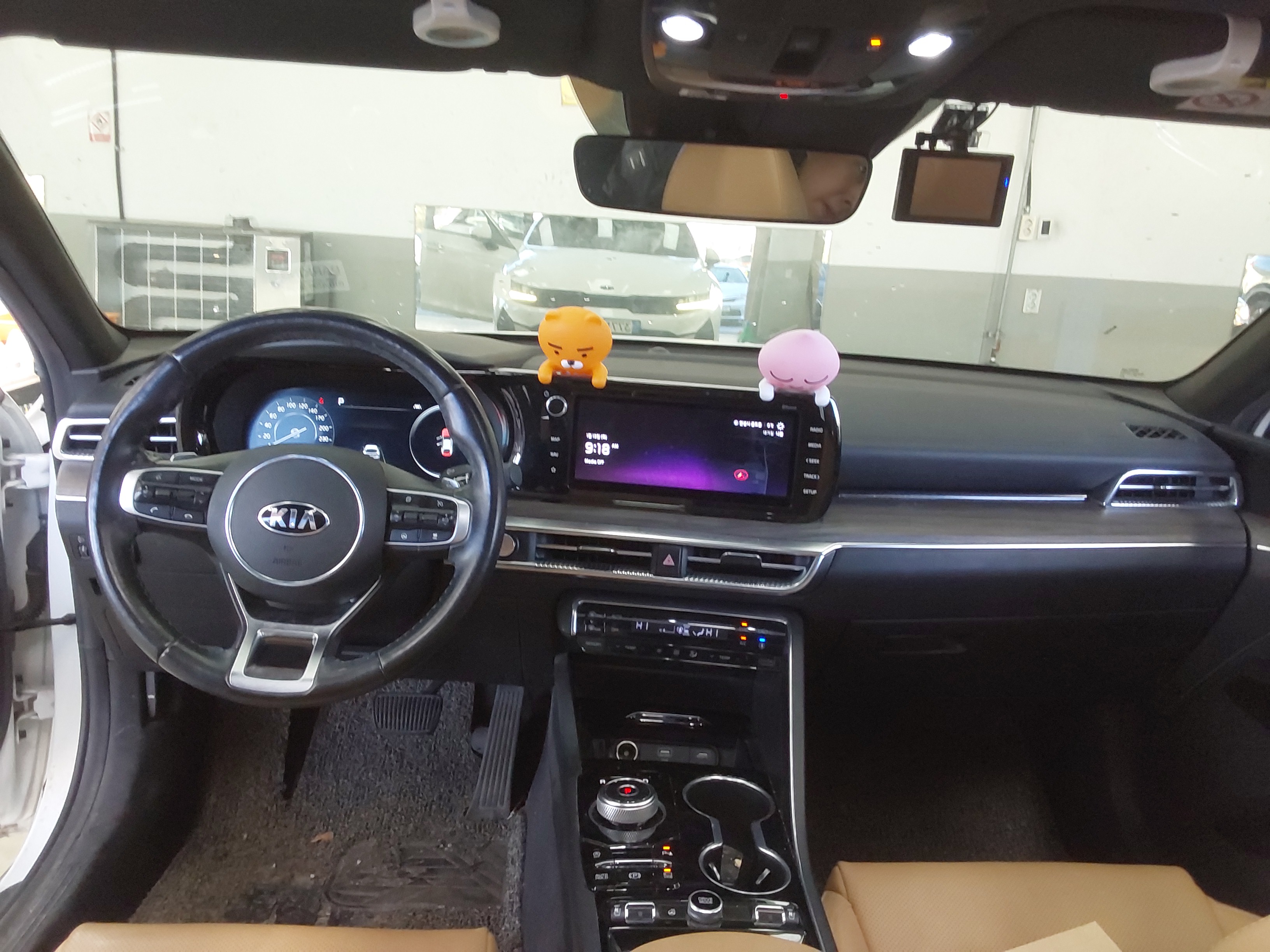 صورة إضافية