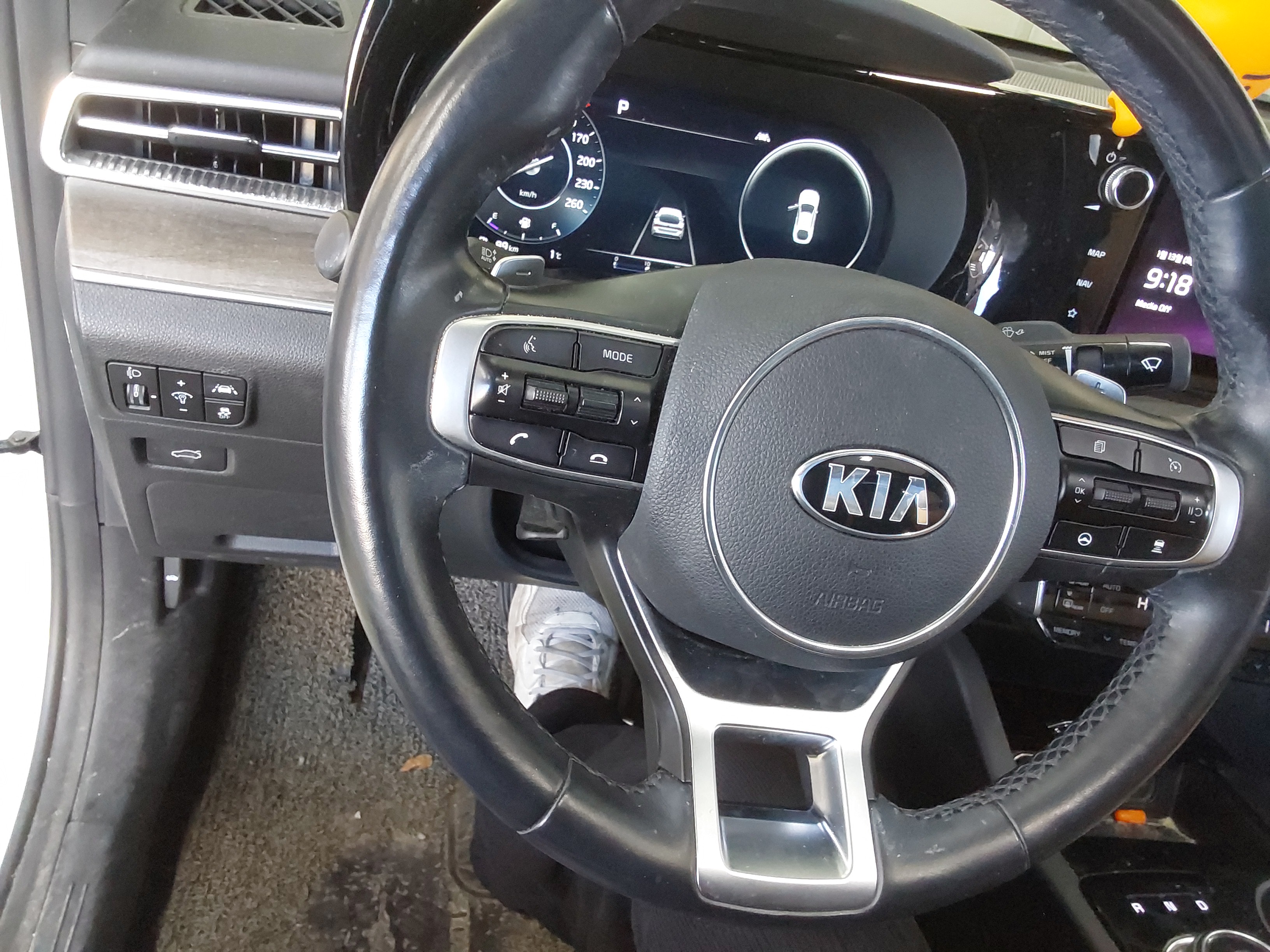 صورة إضافية