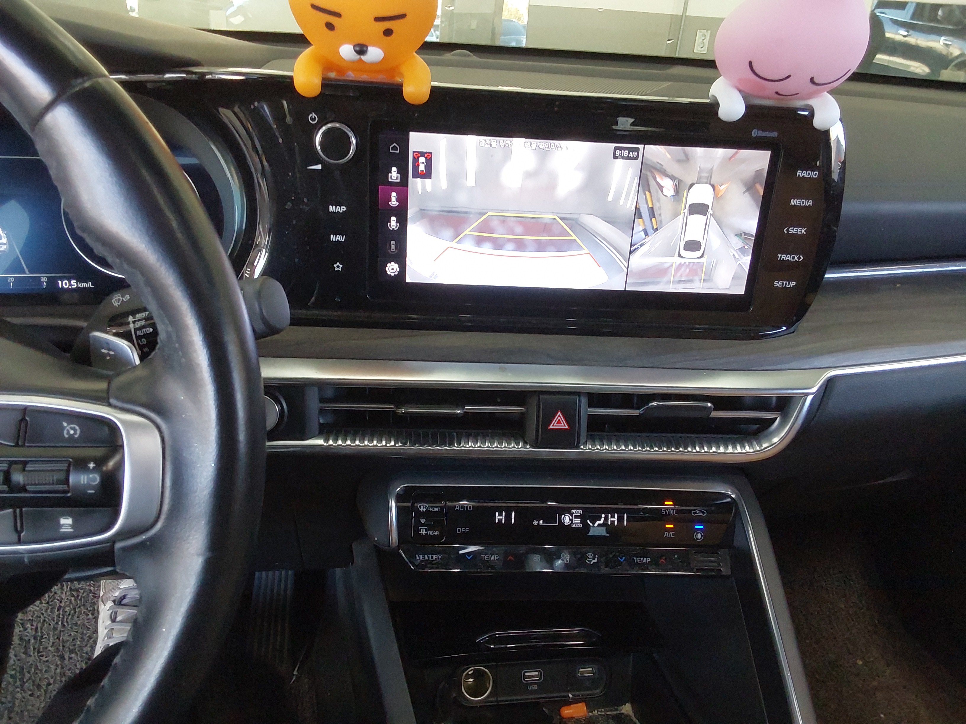 صورة إضافية