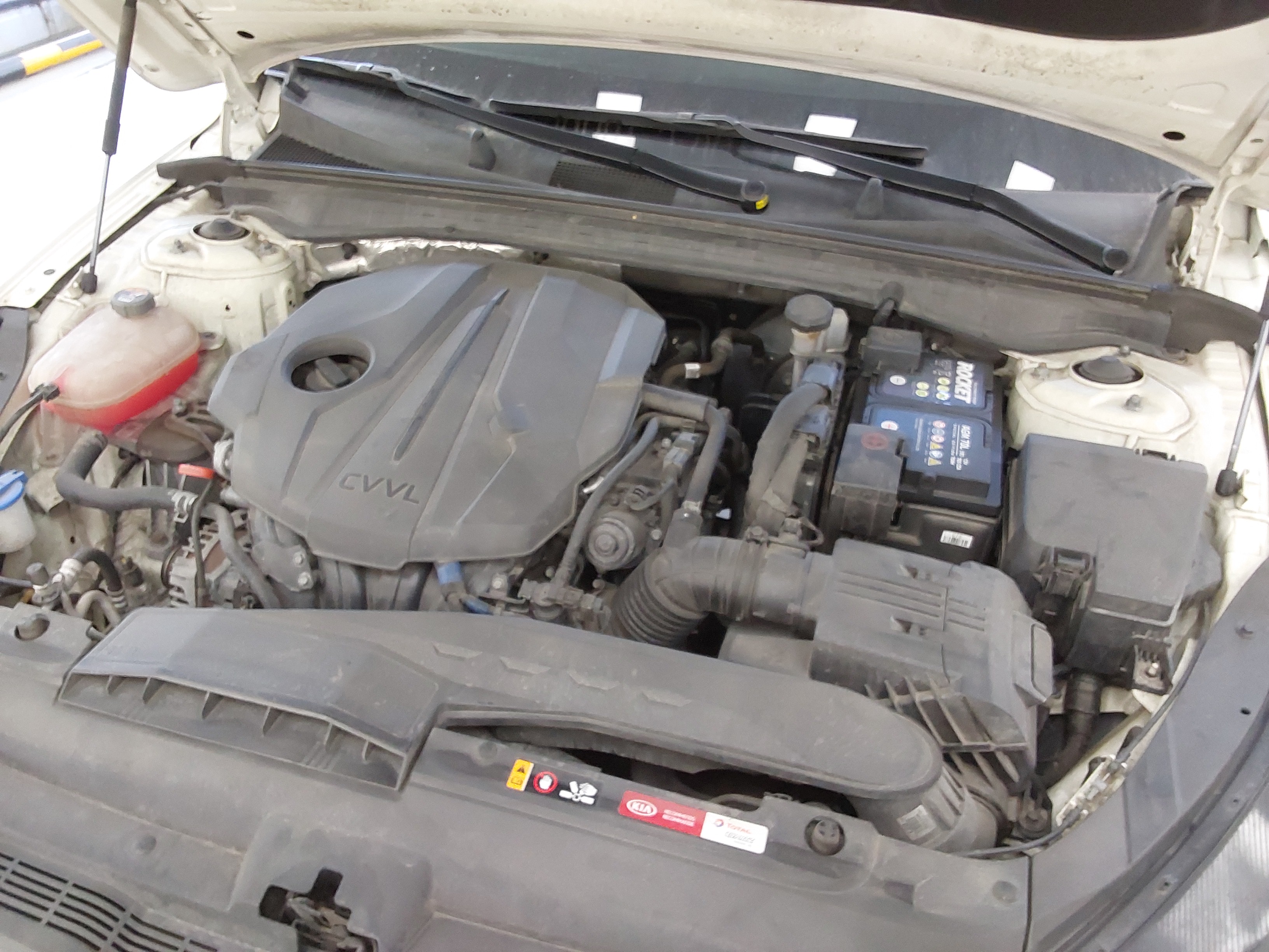 صورة إضافية