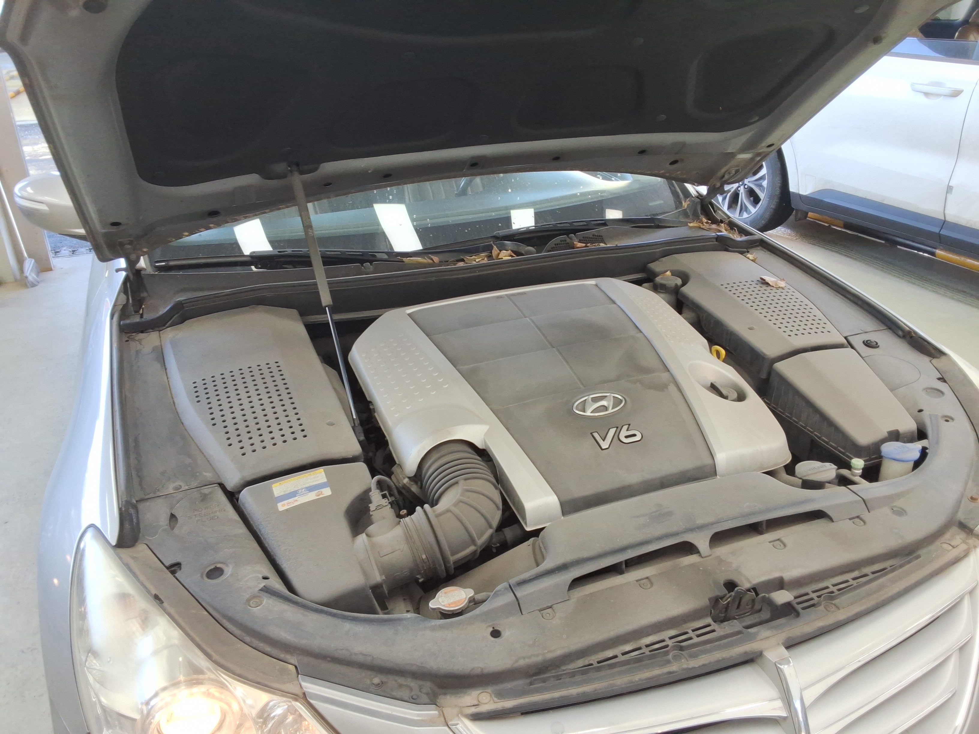 صورة إضافية