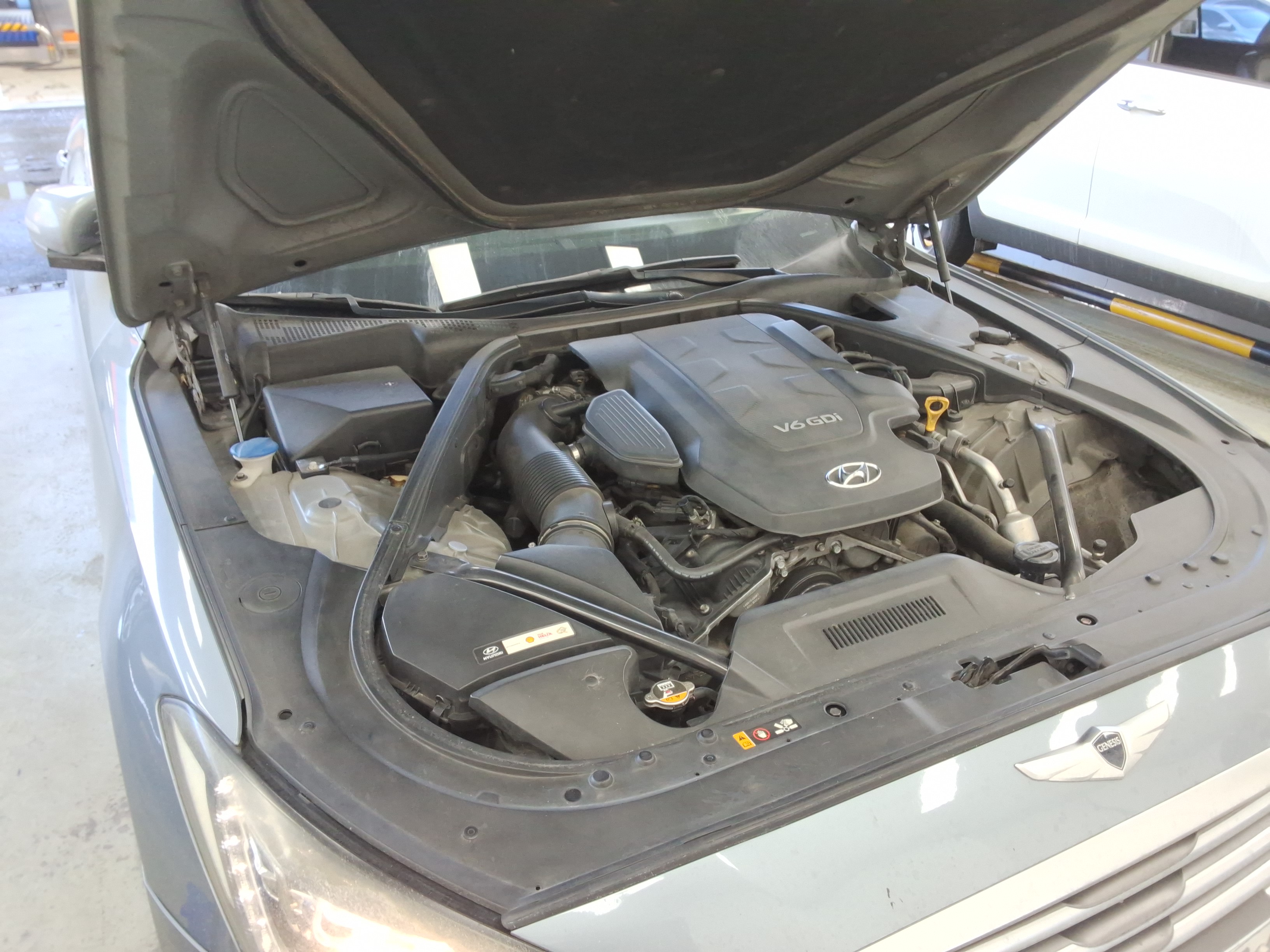 صورة إضافية