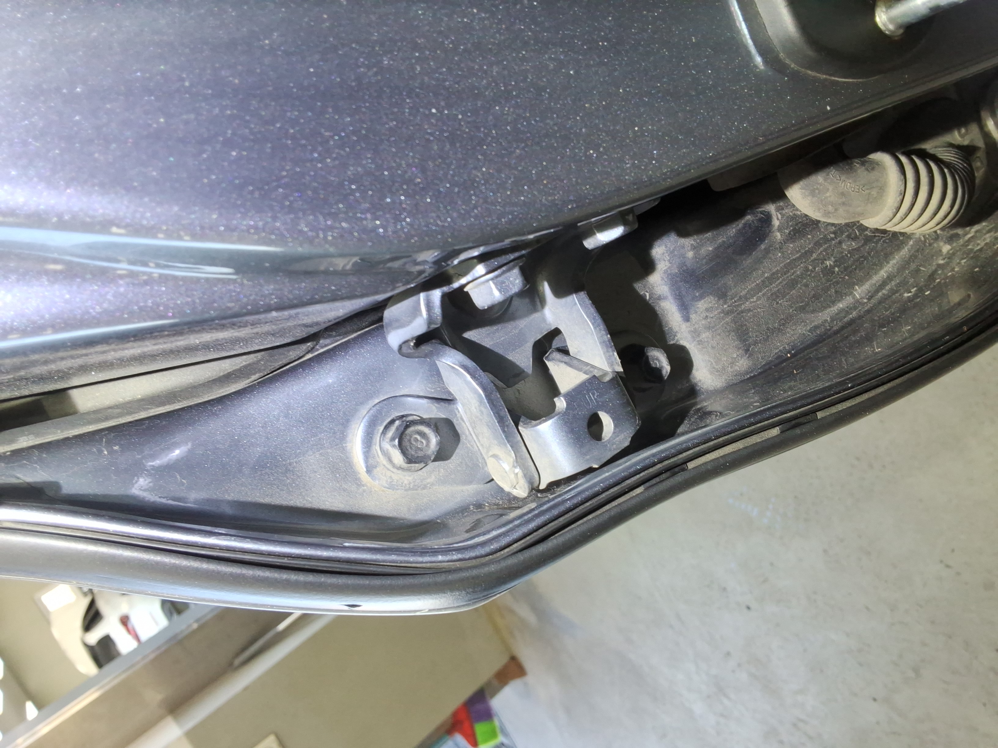 صورة إضافية