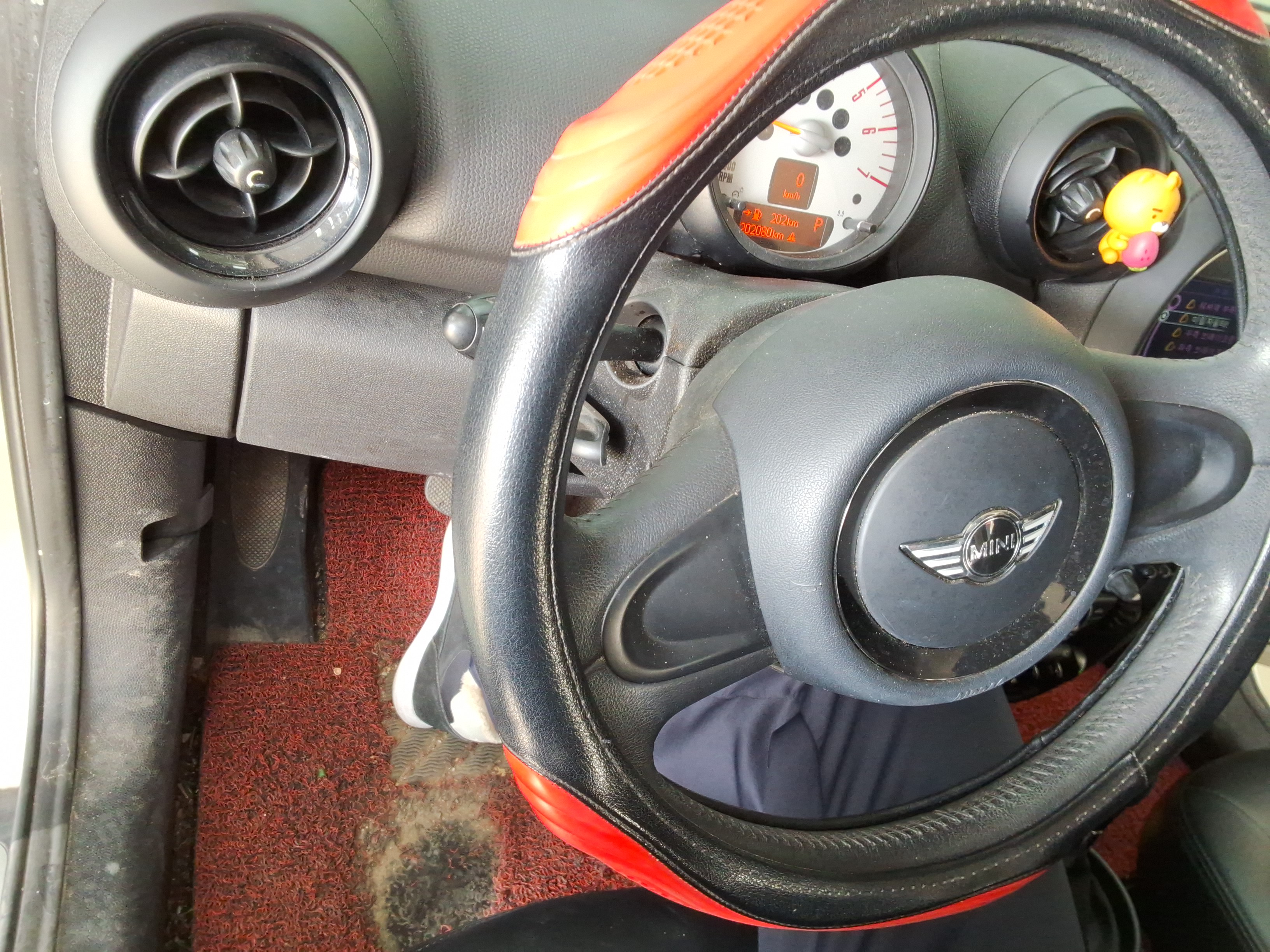 صورة إضافية