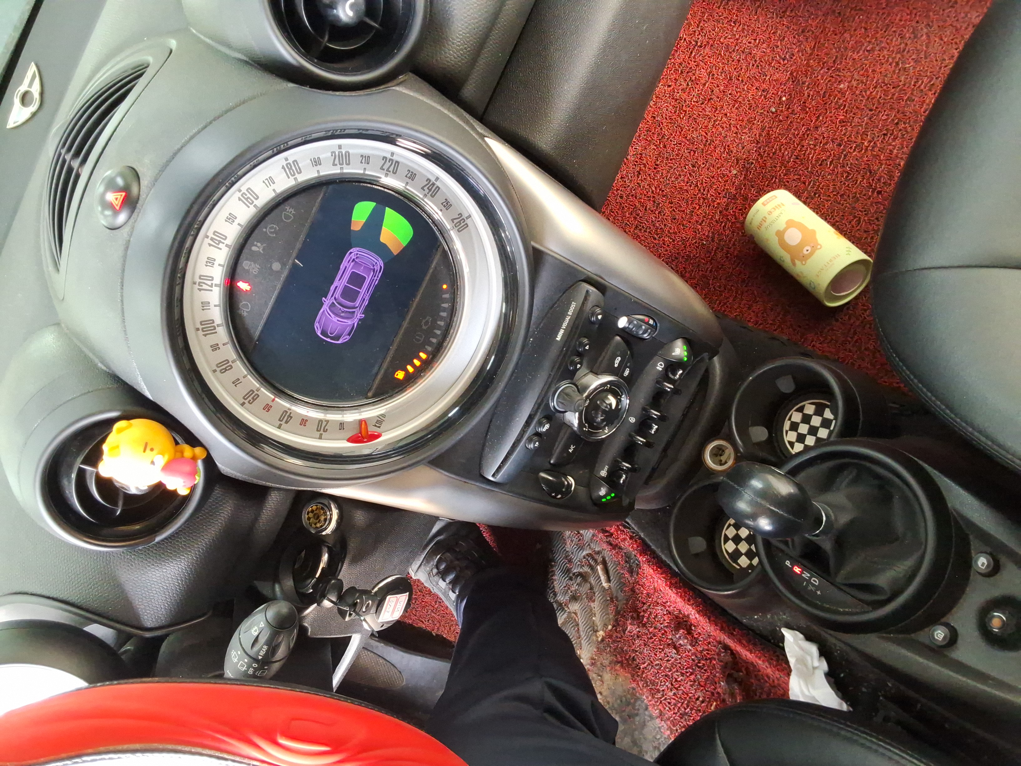 صورة إضافية