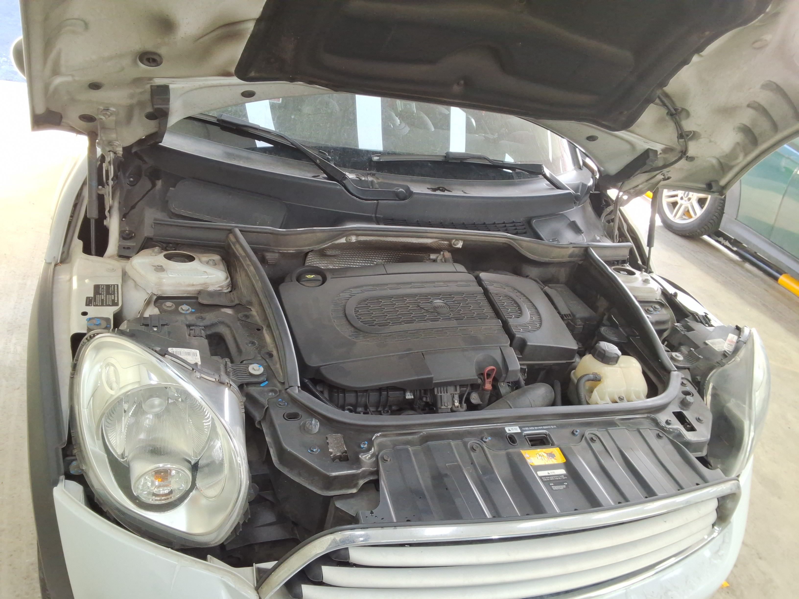 صورة إضافية