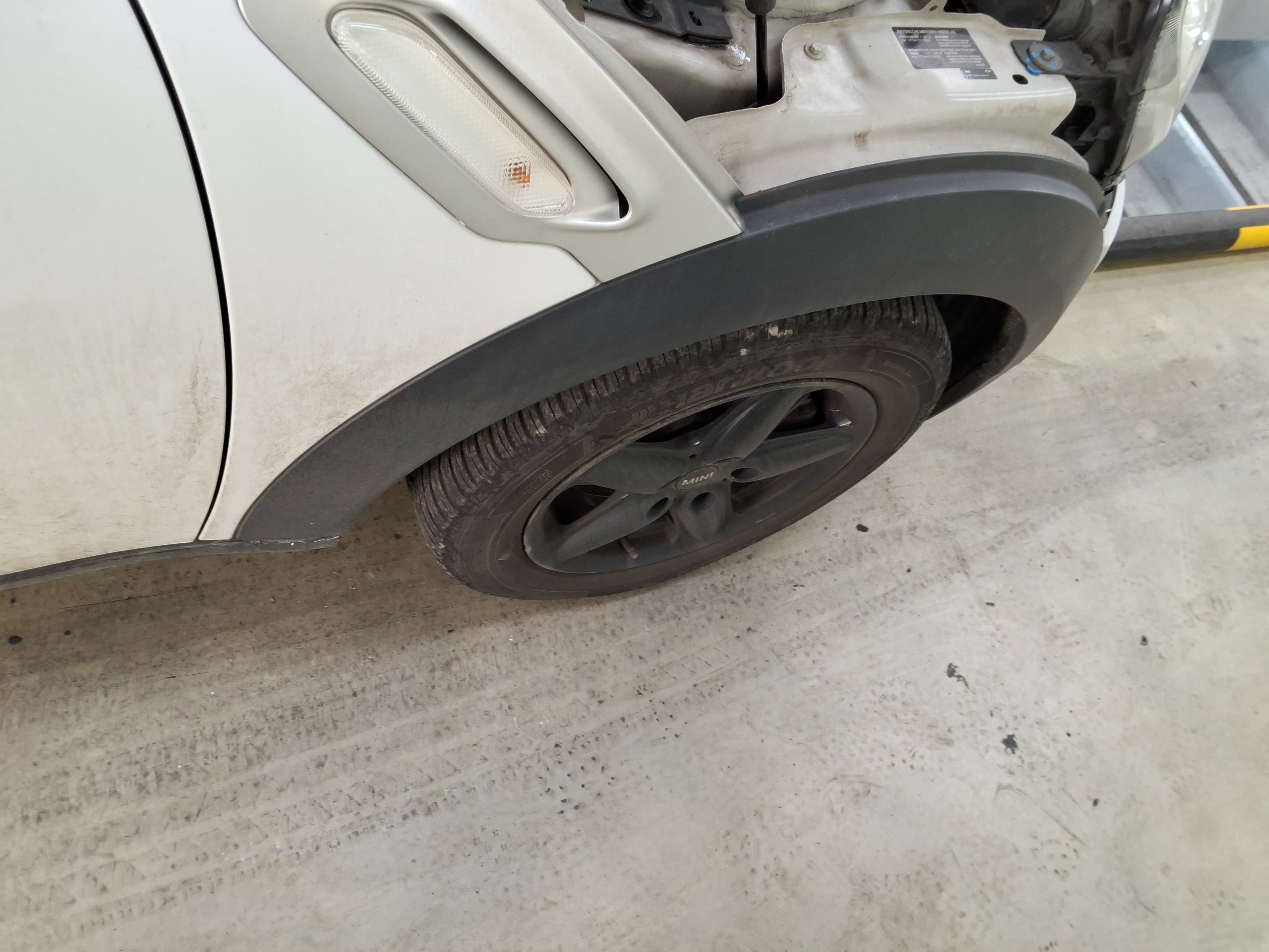 صورة إضافية