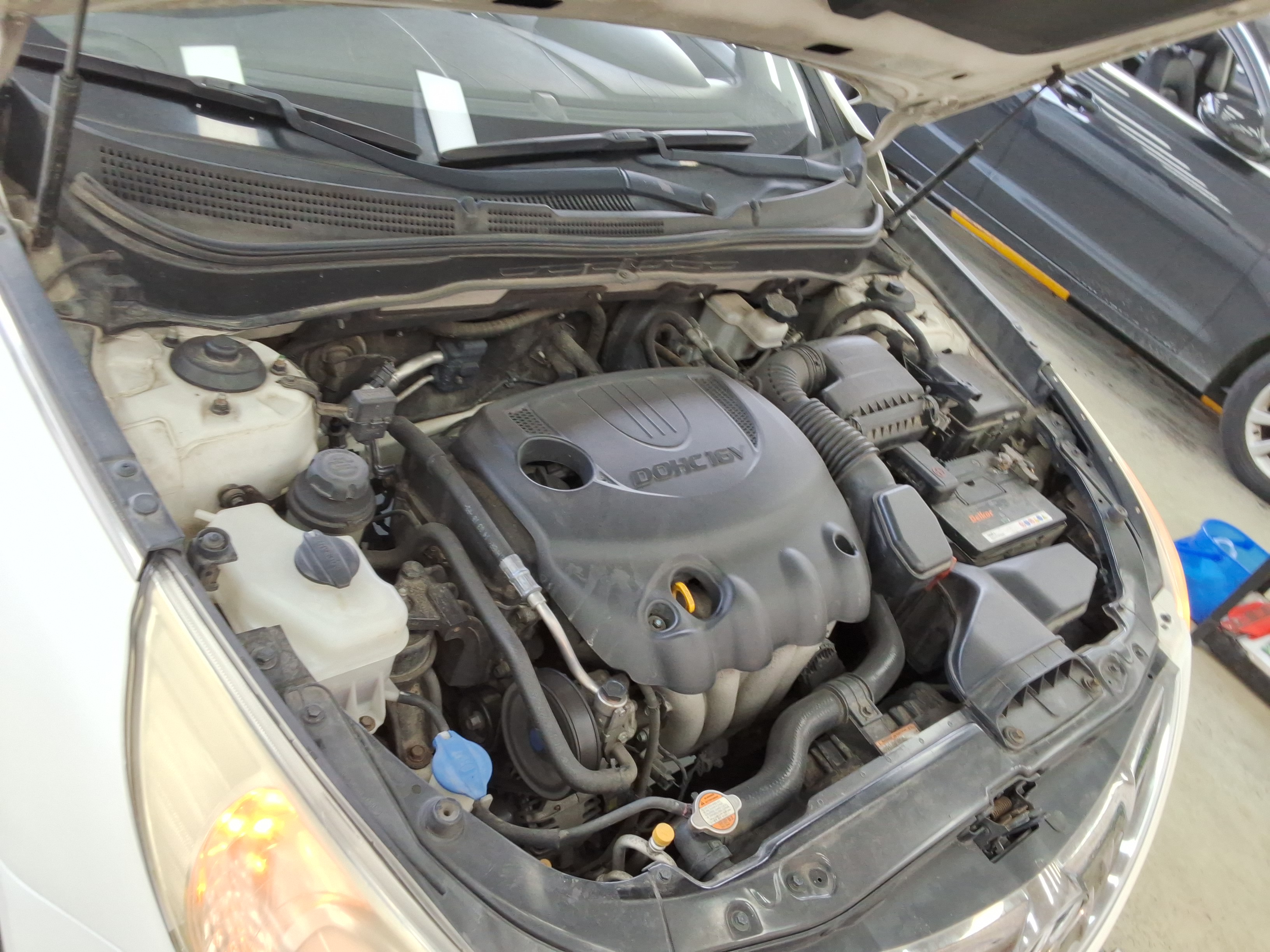 صورة إضافية