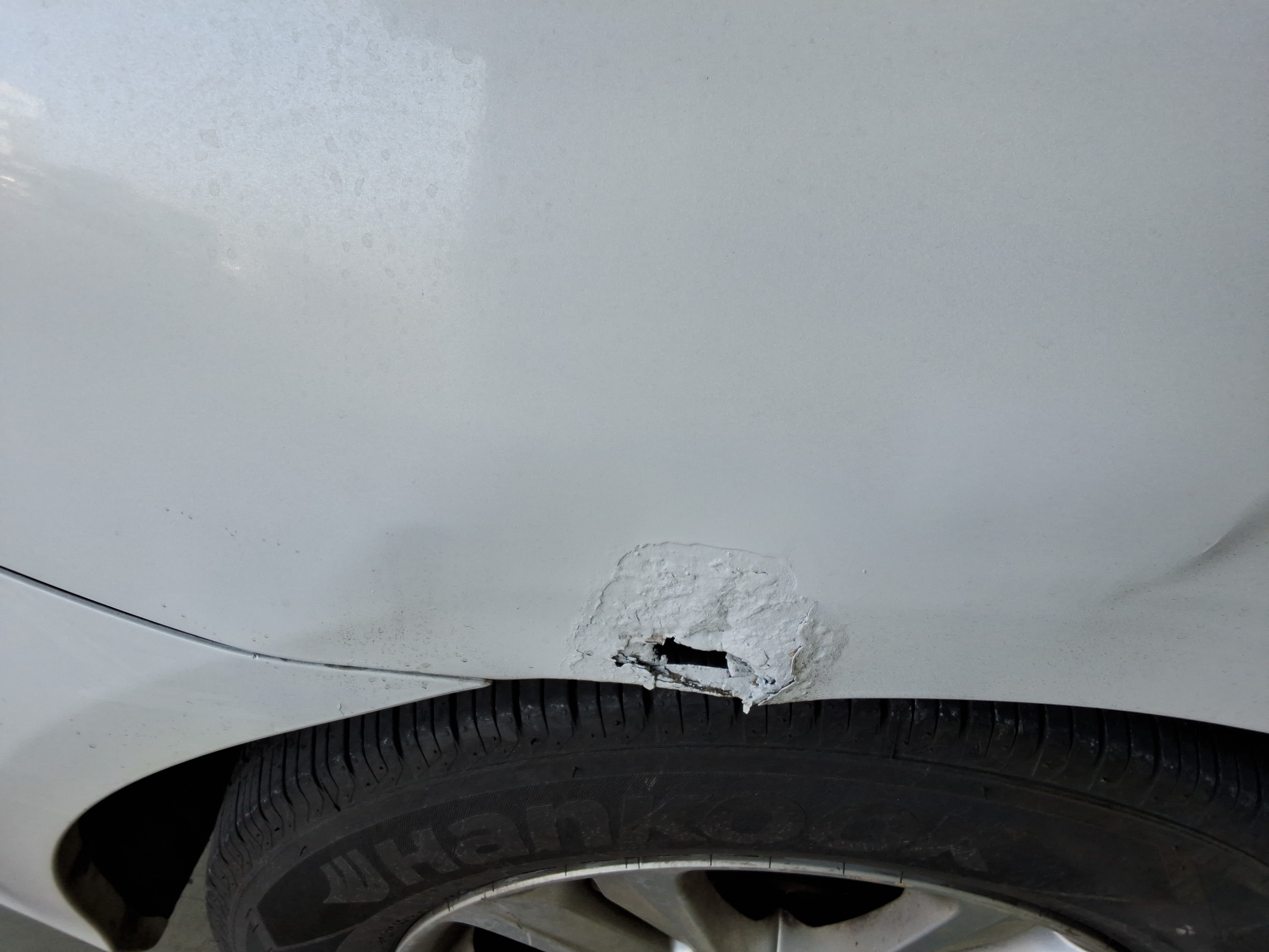 صورة إضافية