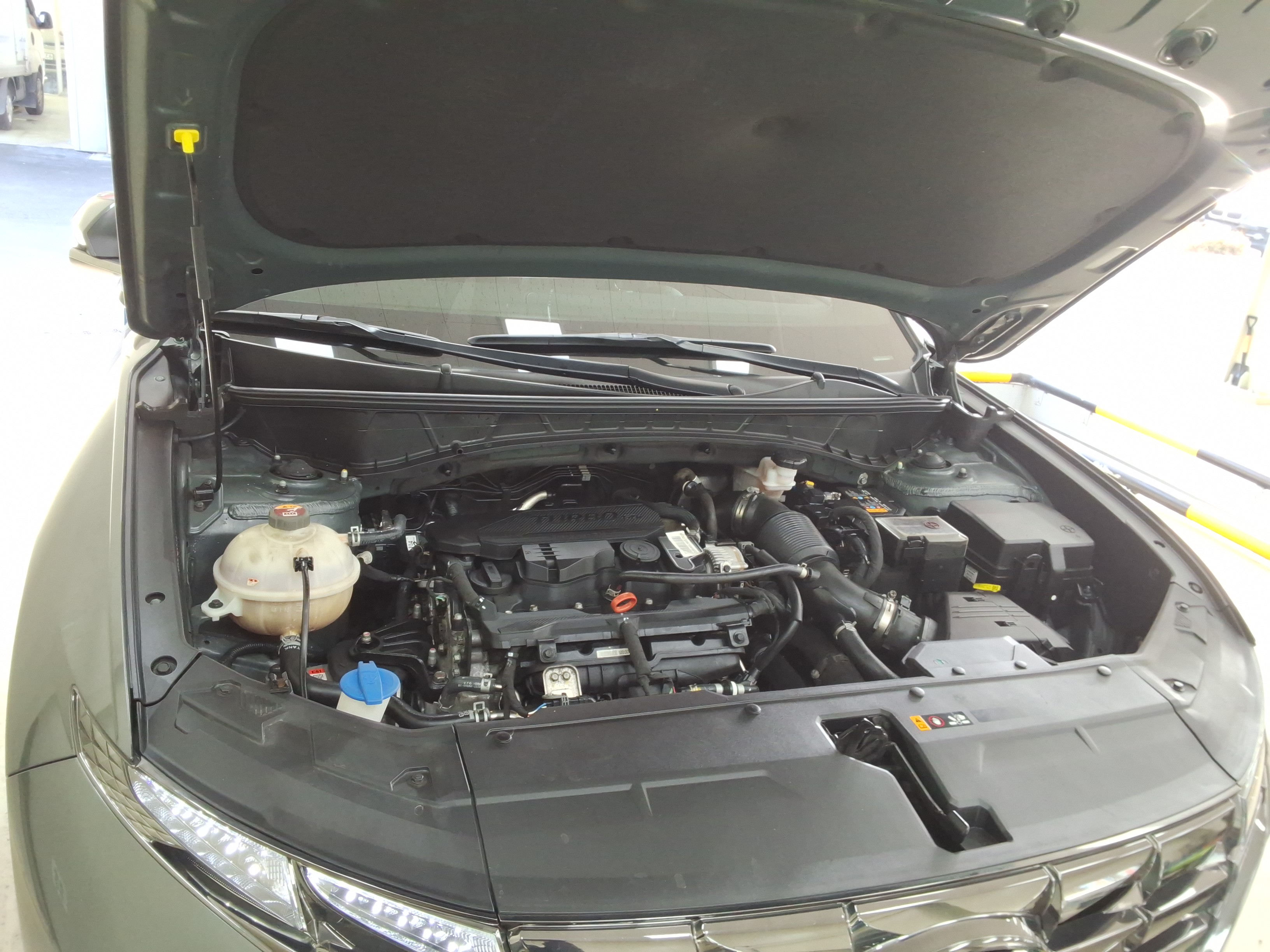 صورة إضافية