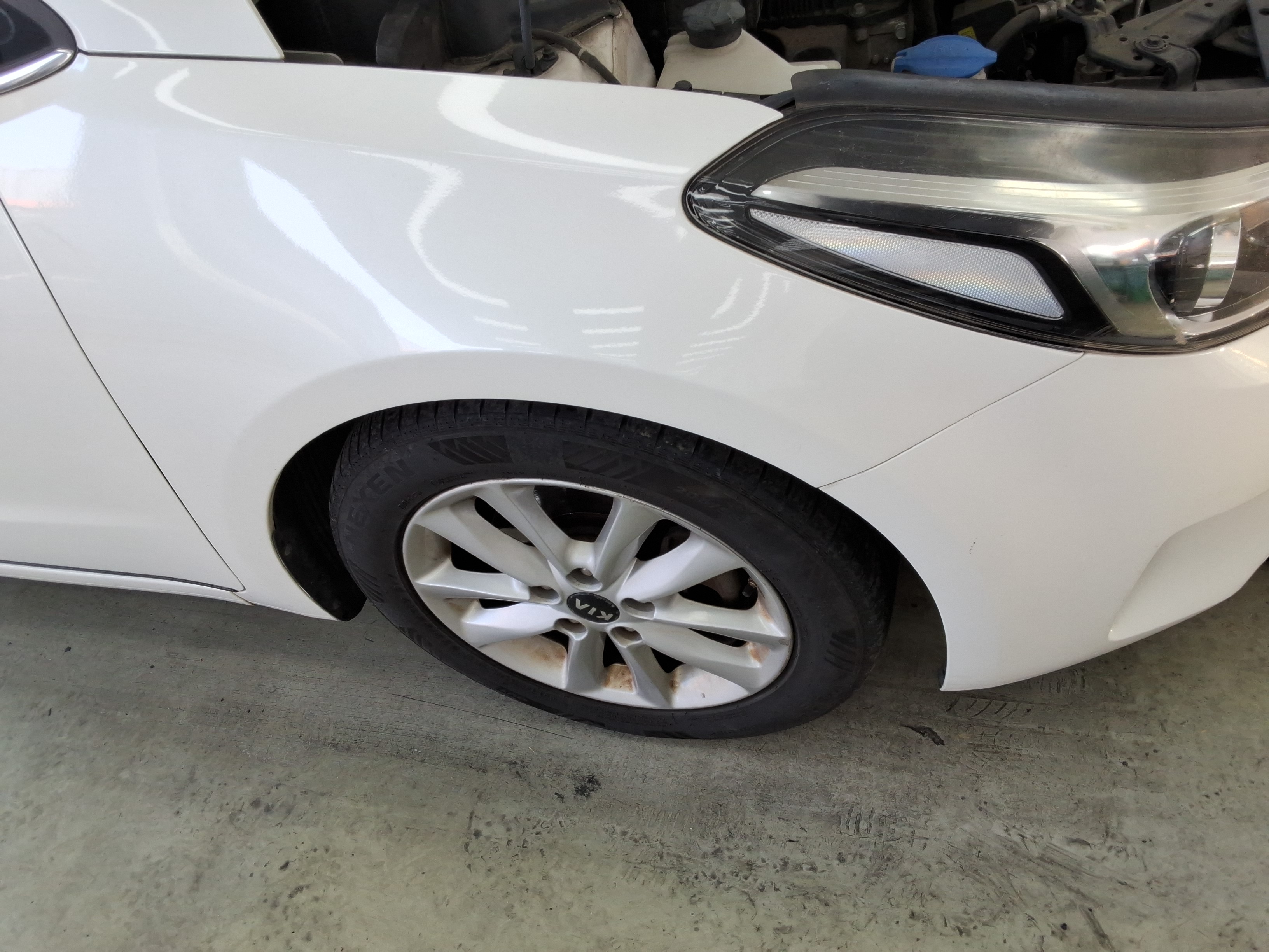 صورة إضافية