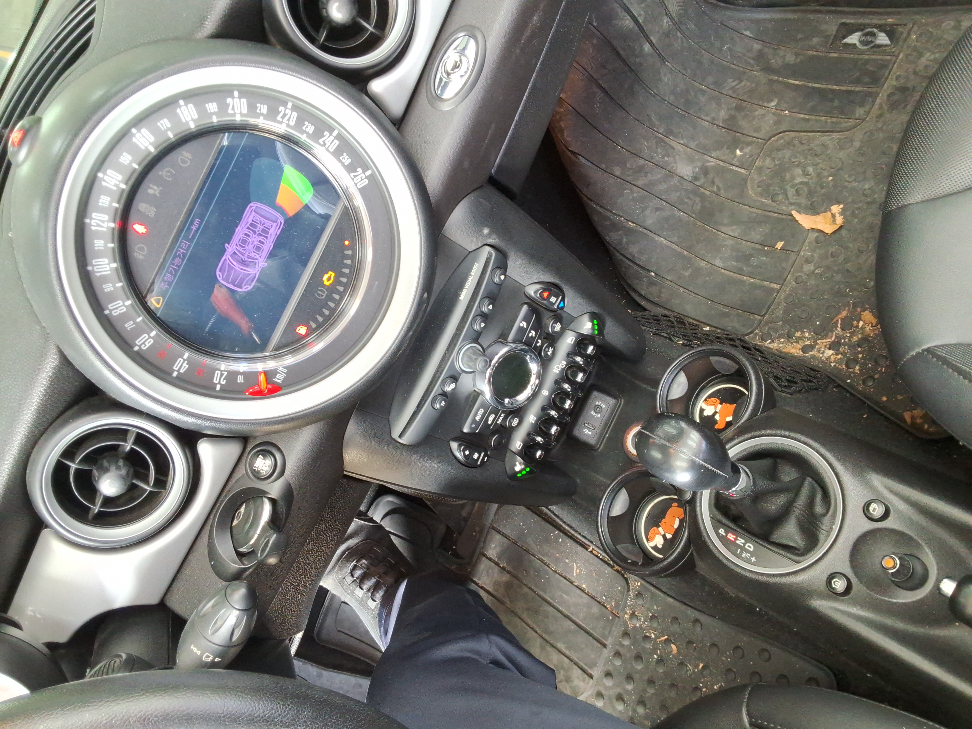 صورة إضافية