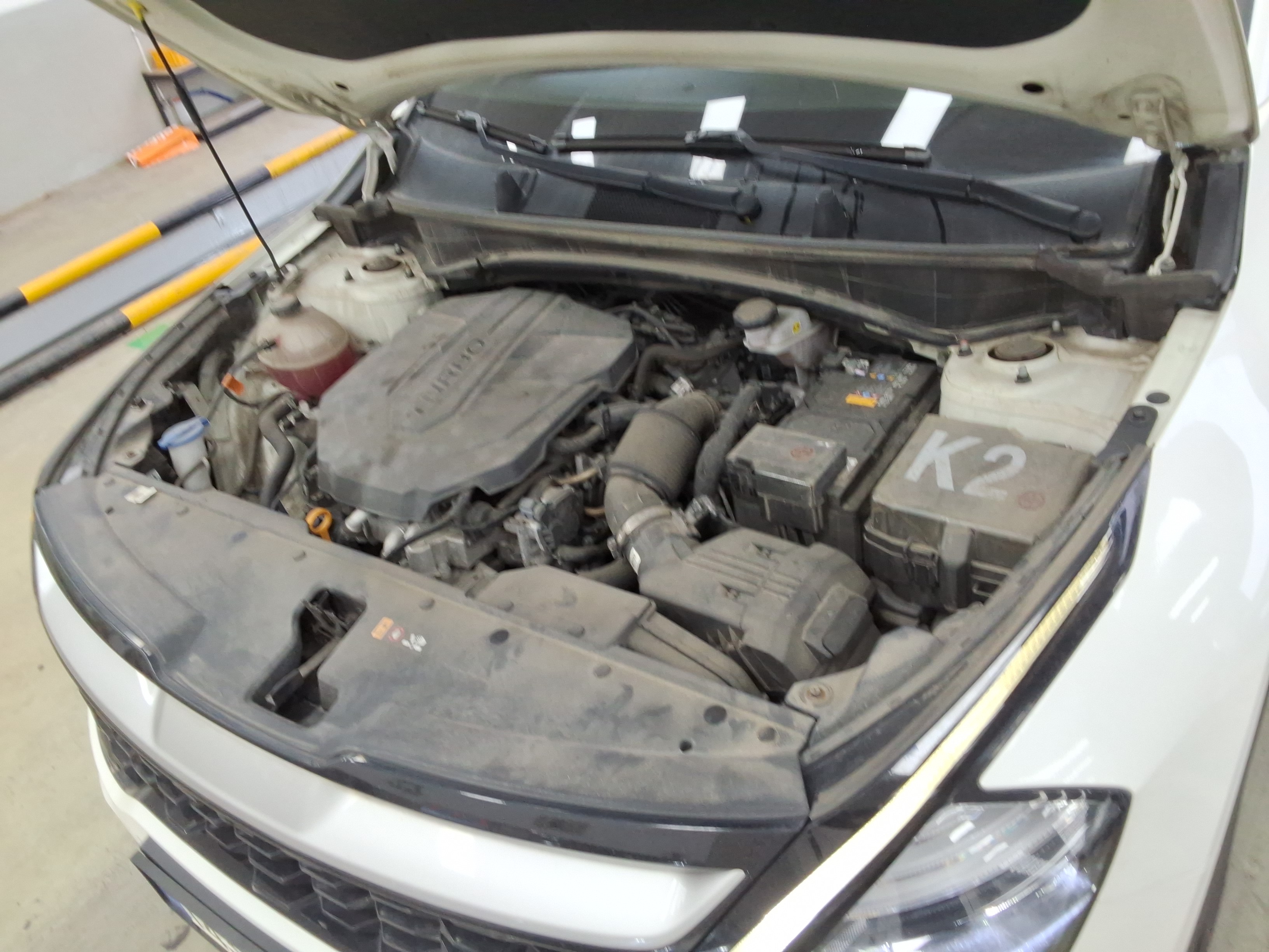 صورة إضافية