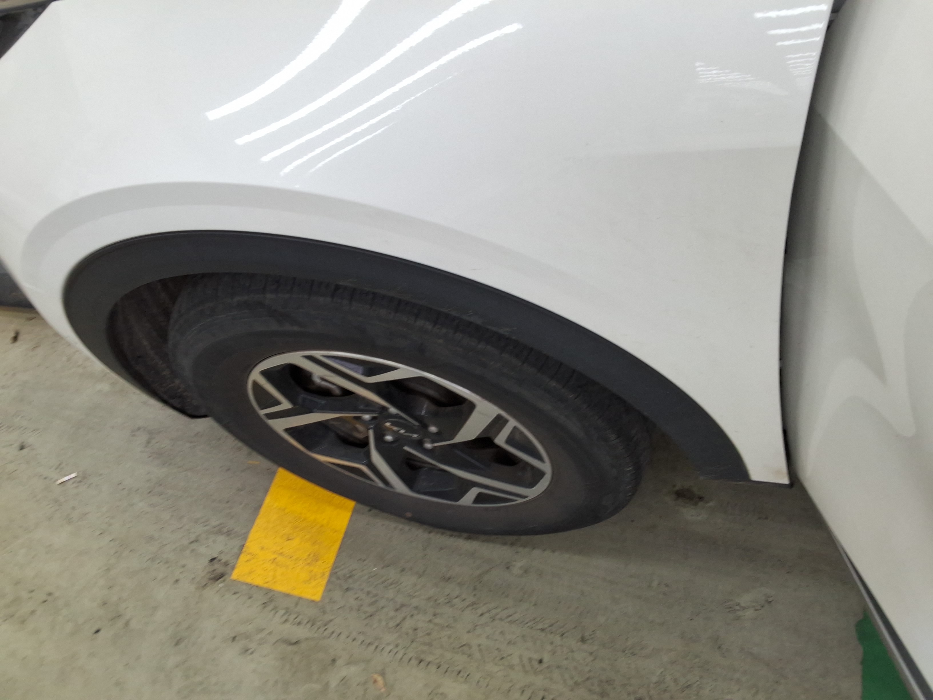 صورة إضافية