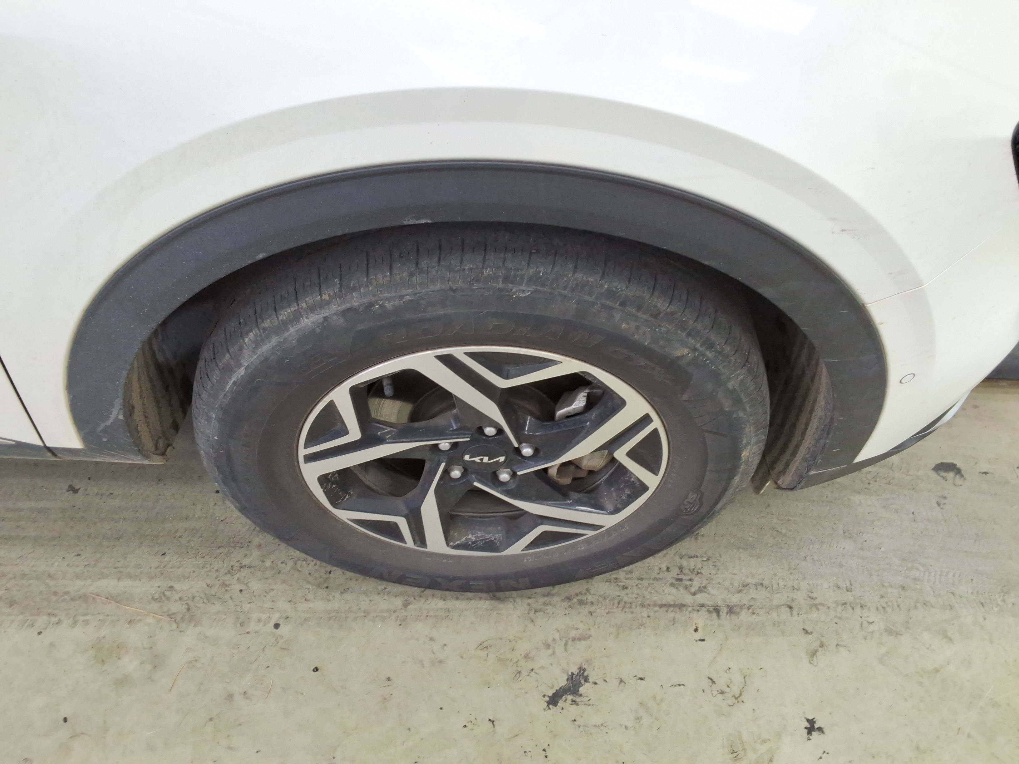 صورة إضافية