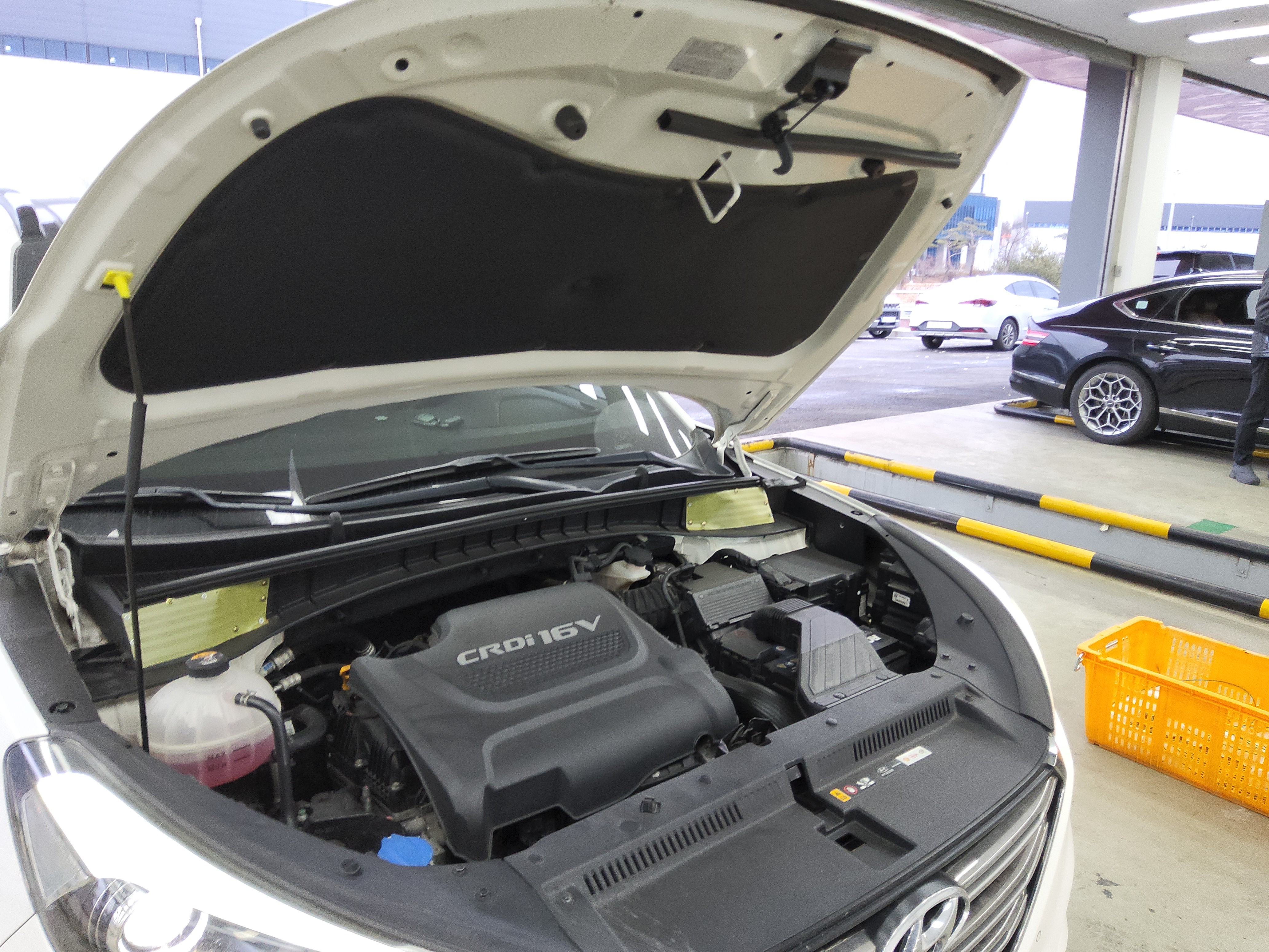 صورة إضافية