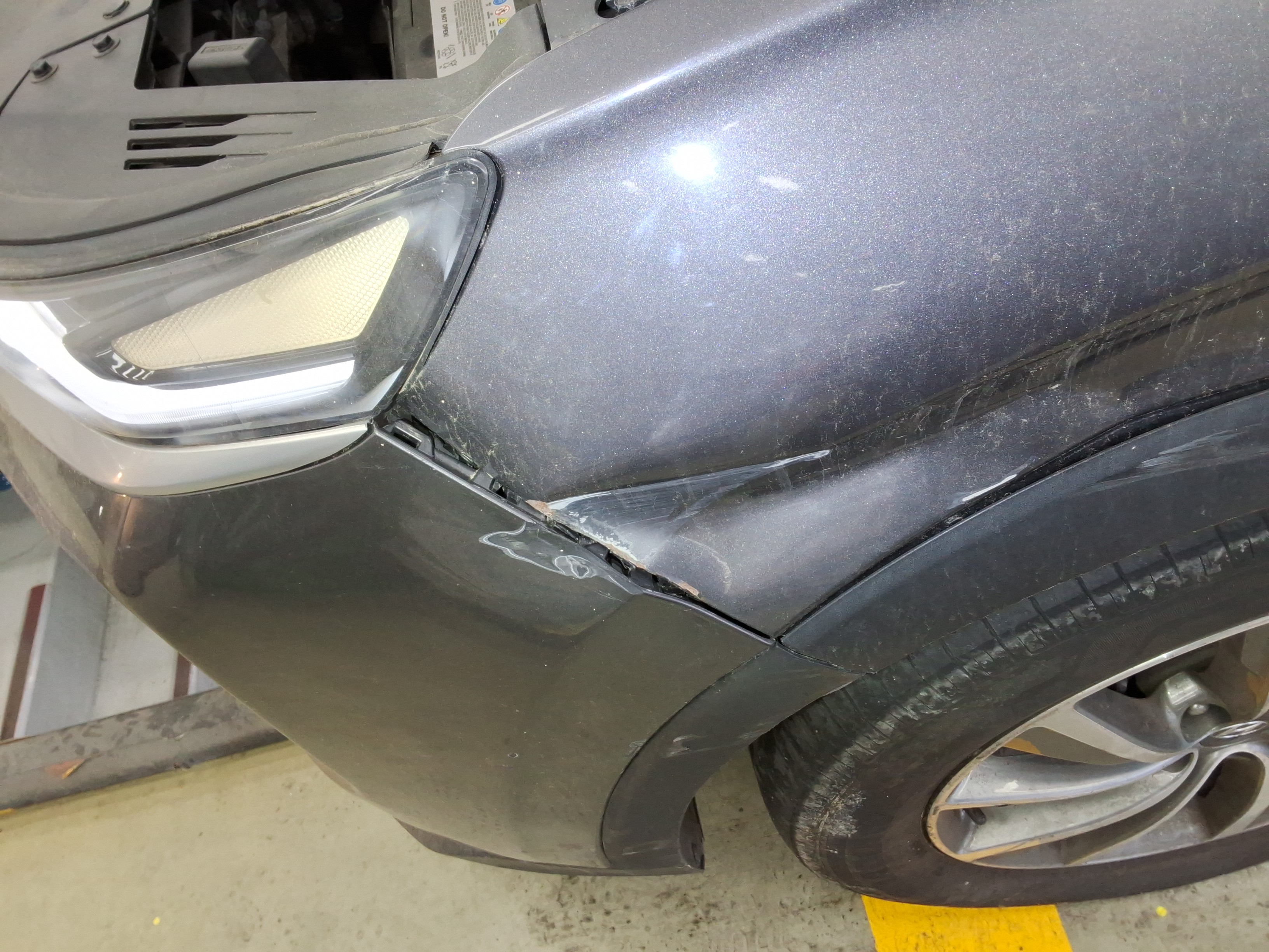 صورة إضافية