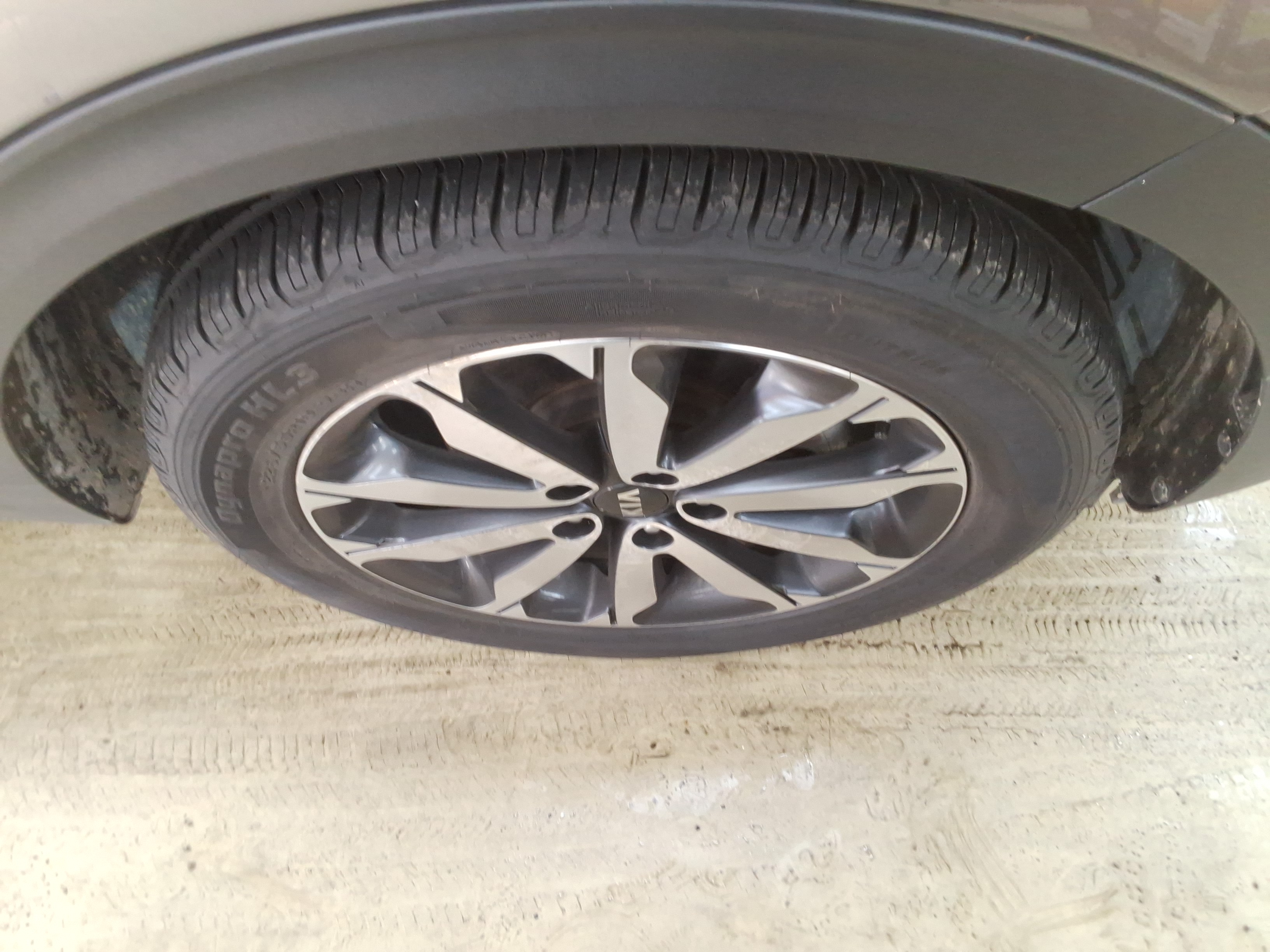 صورة إضافية