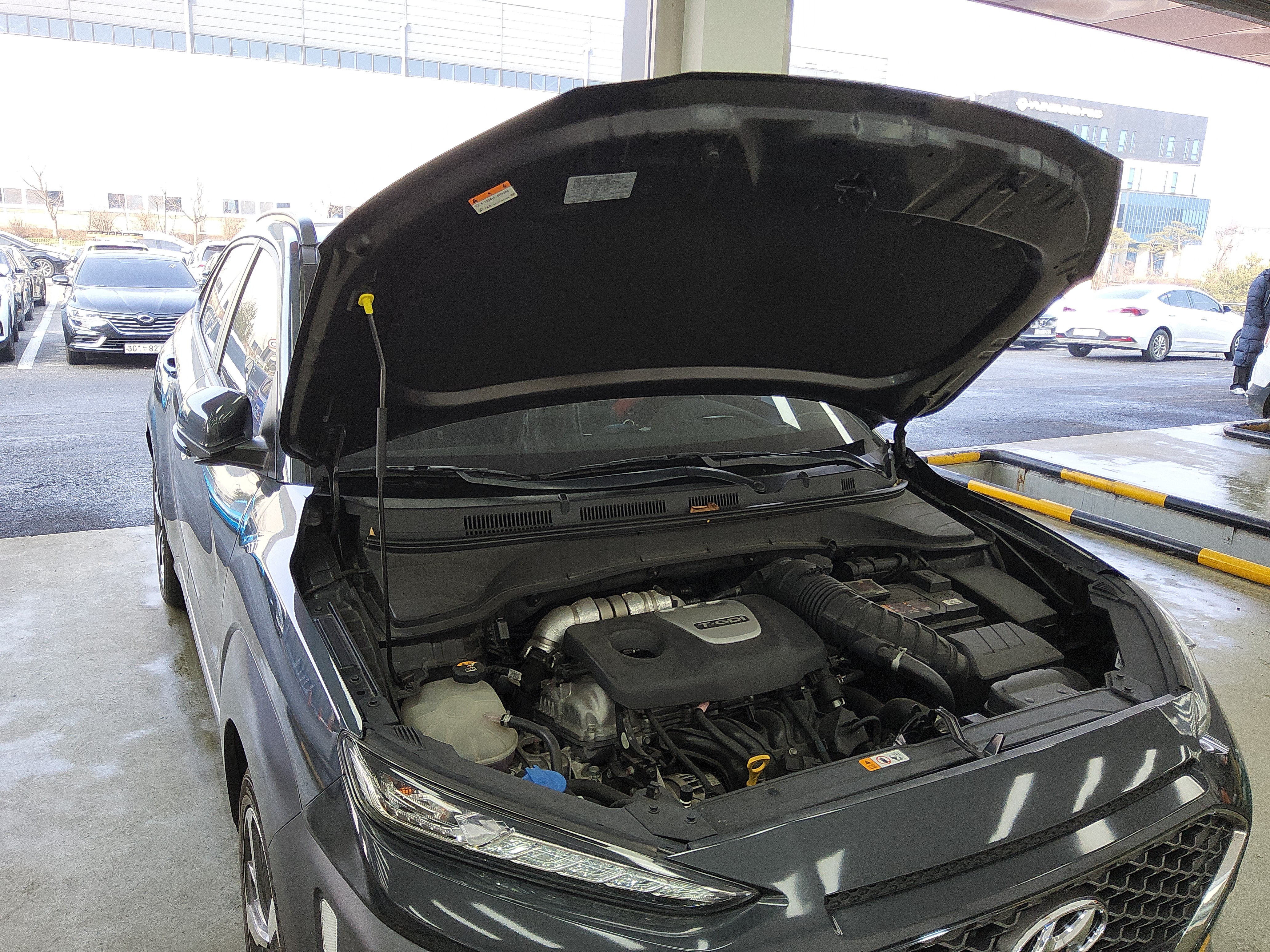 صورة إضافية