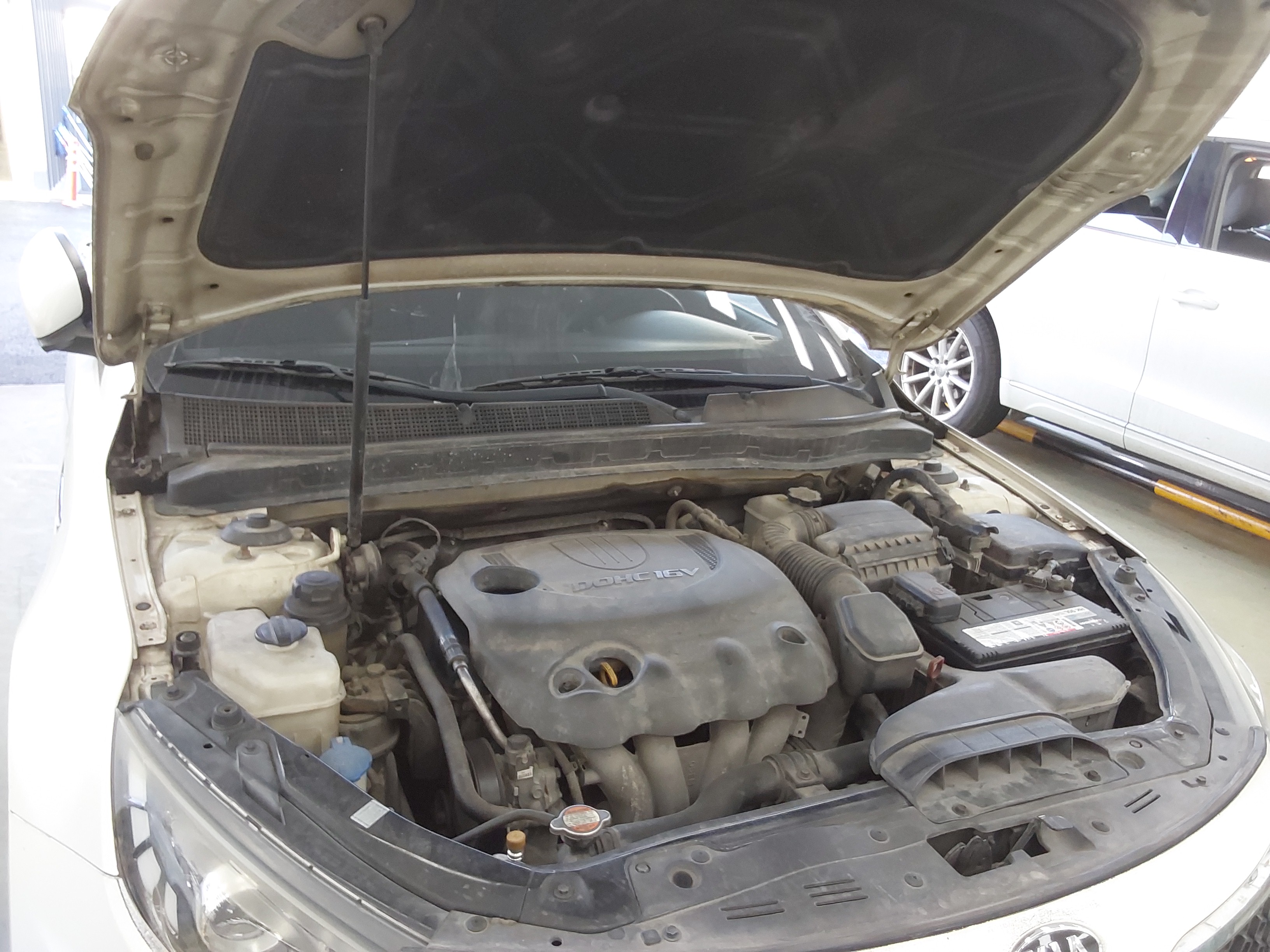 صورة إضافية