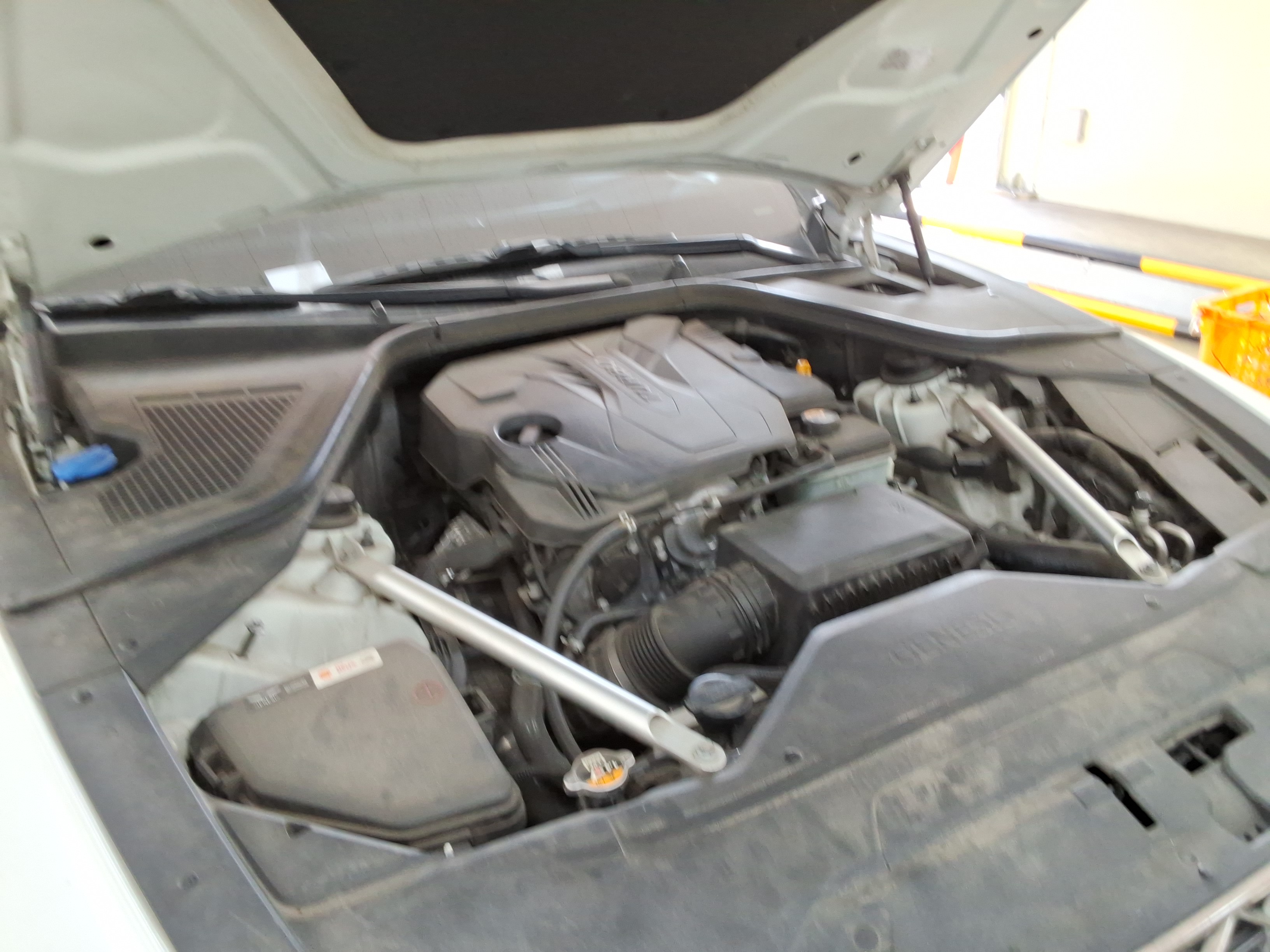 صورة إضافية