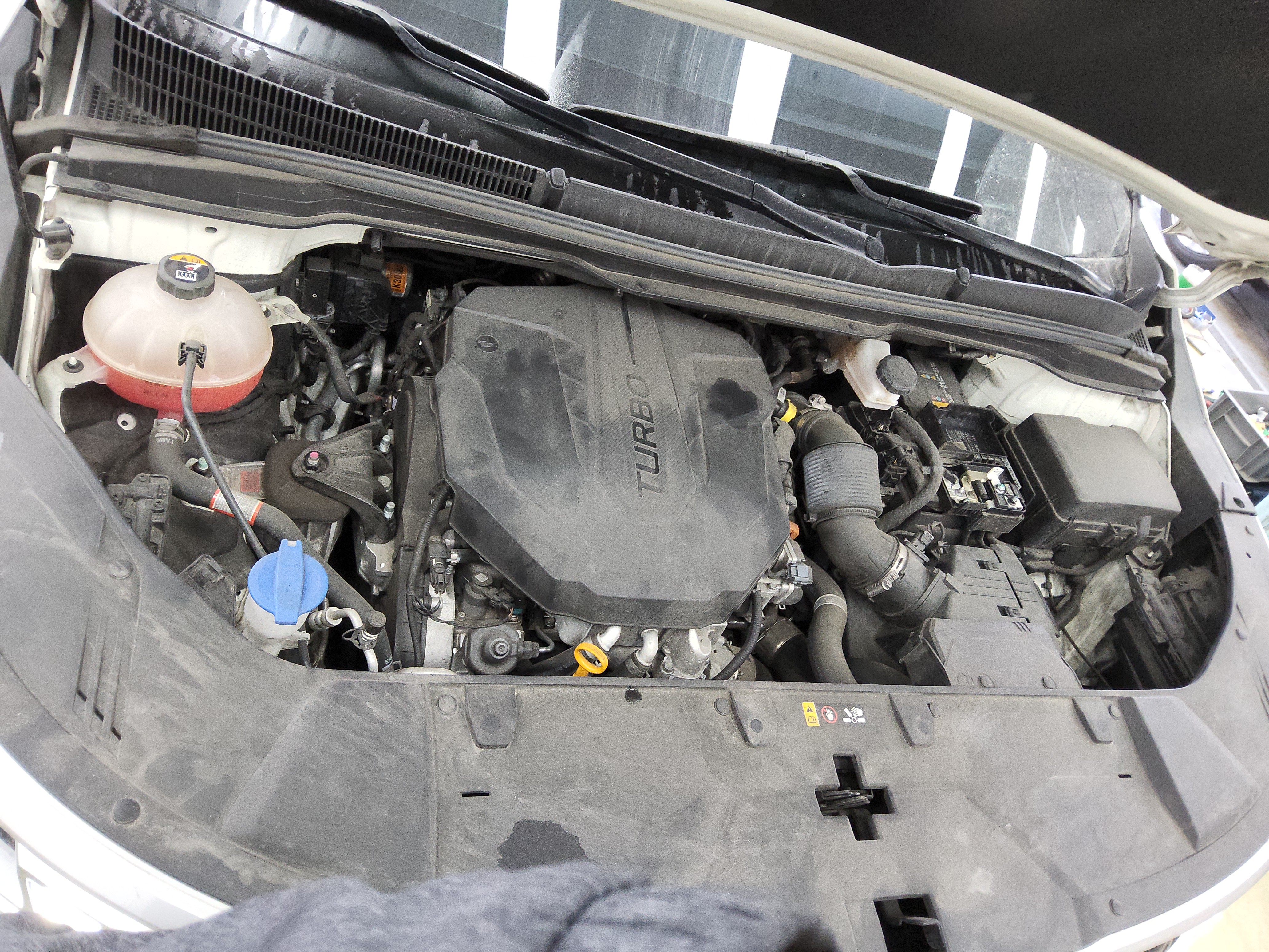 صورة إضافية