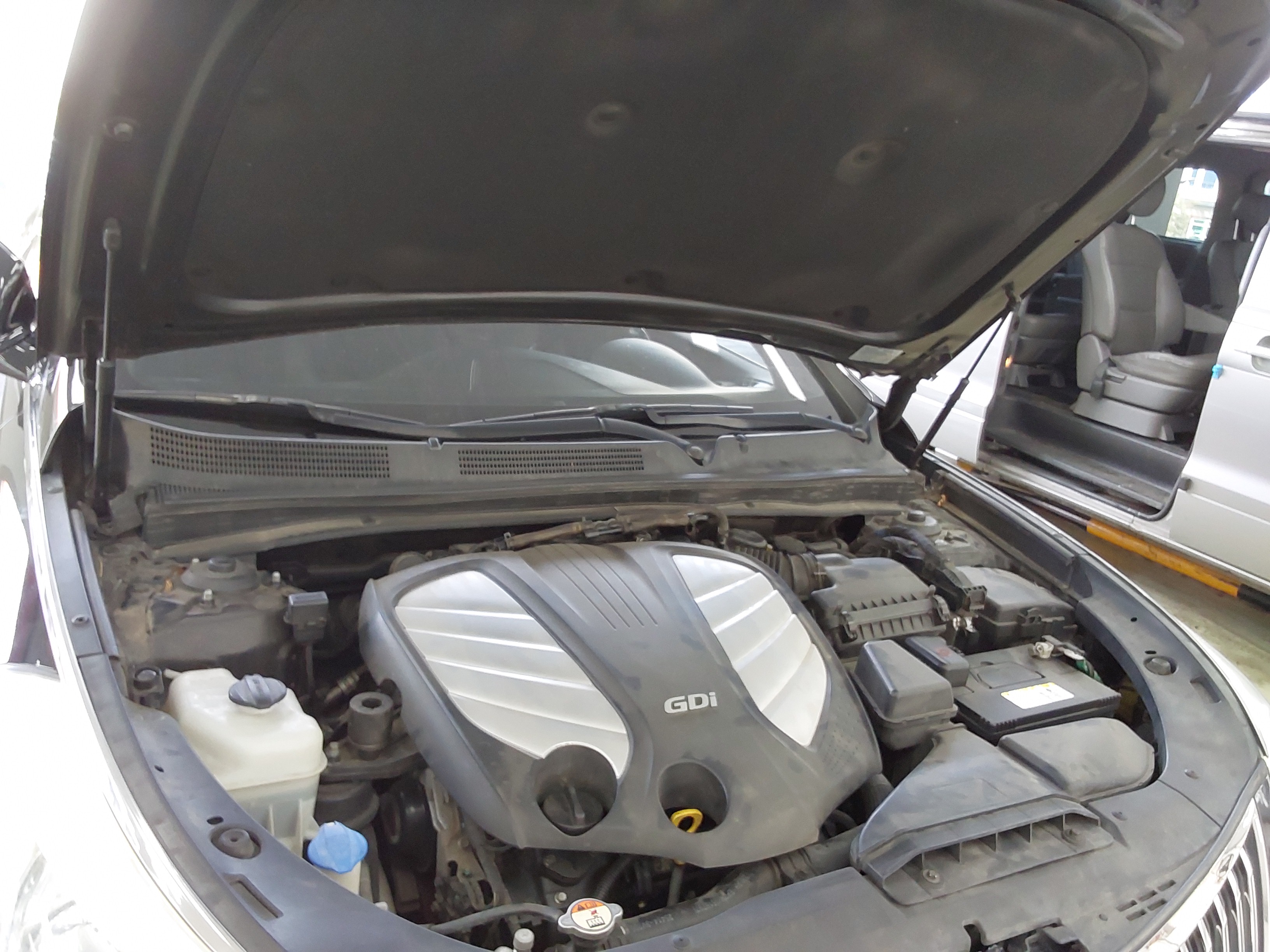 صورة إضافية