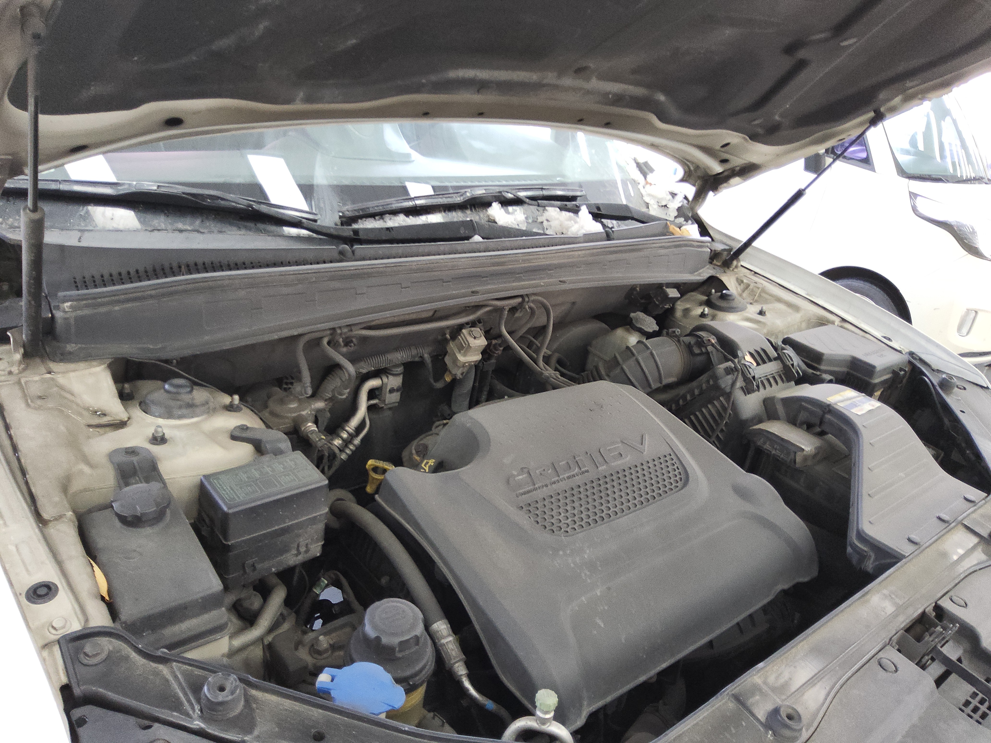 صورة إضافية